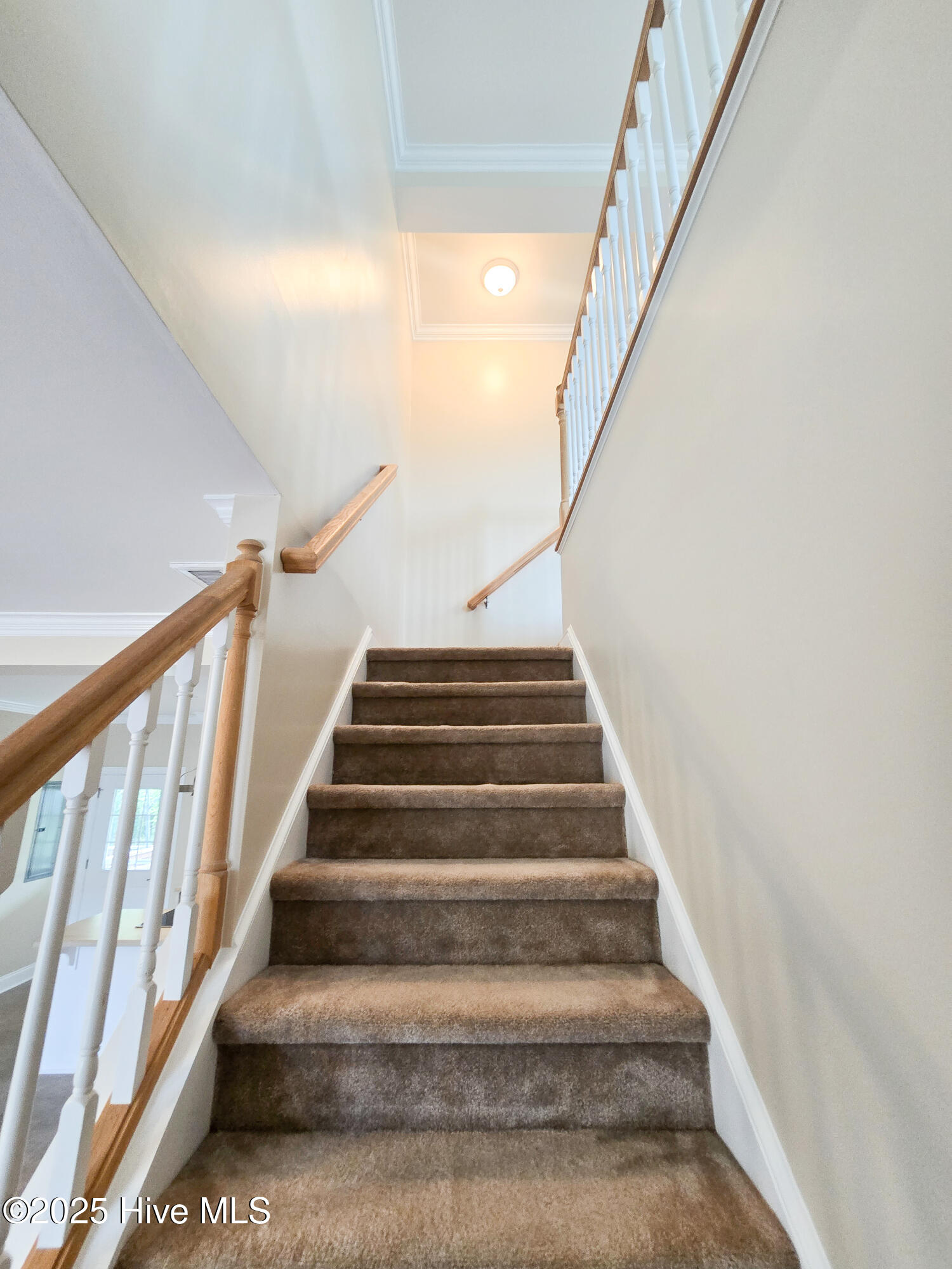 4 Schooner Drive, Swansboro, NC 28584 – photo 14: Stairway
