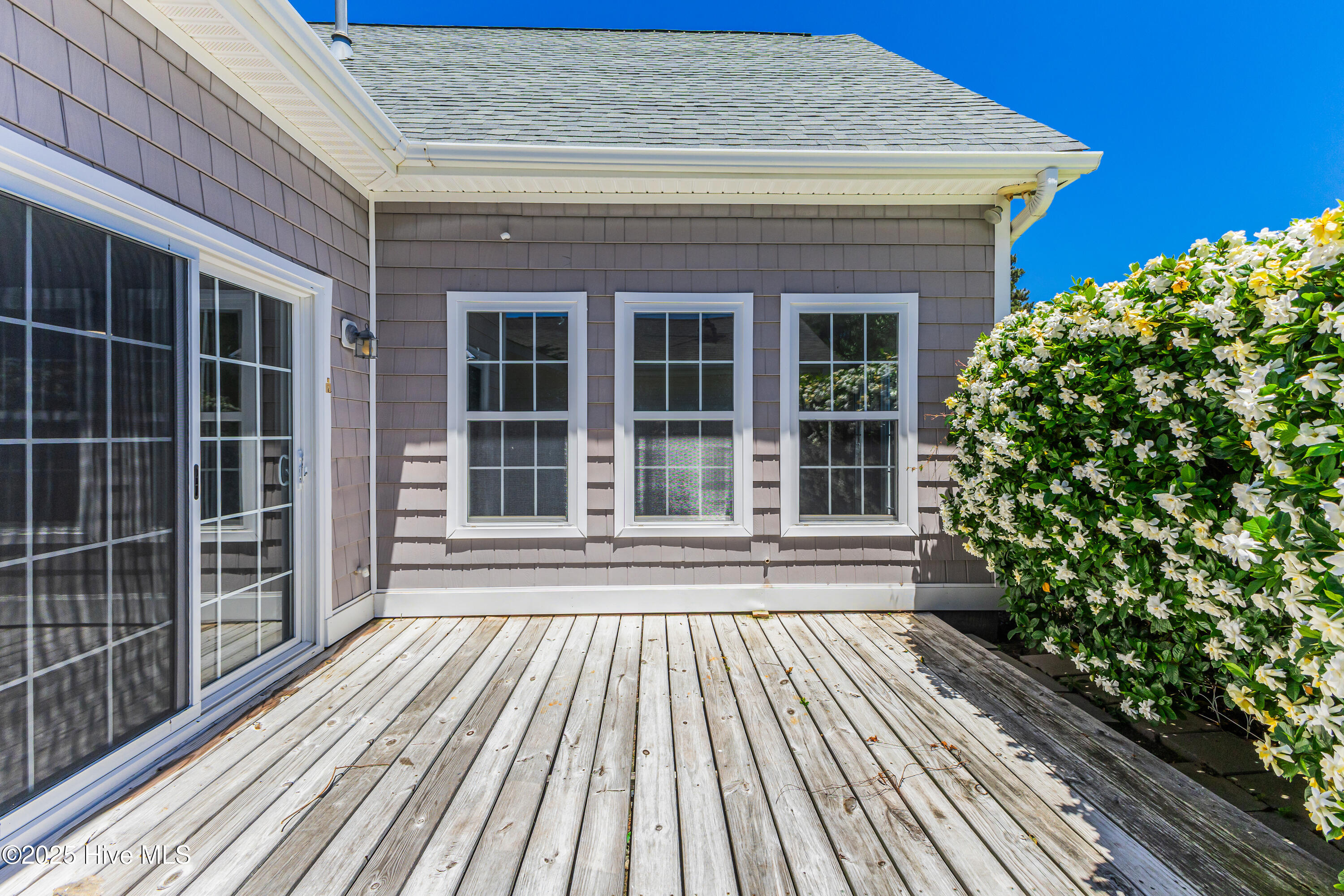 100563033 | Photo 36