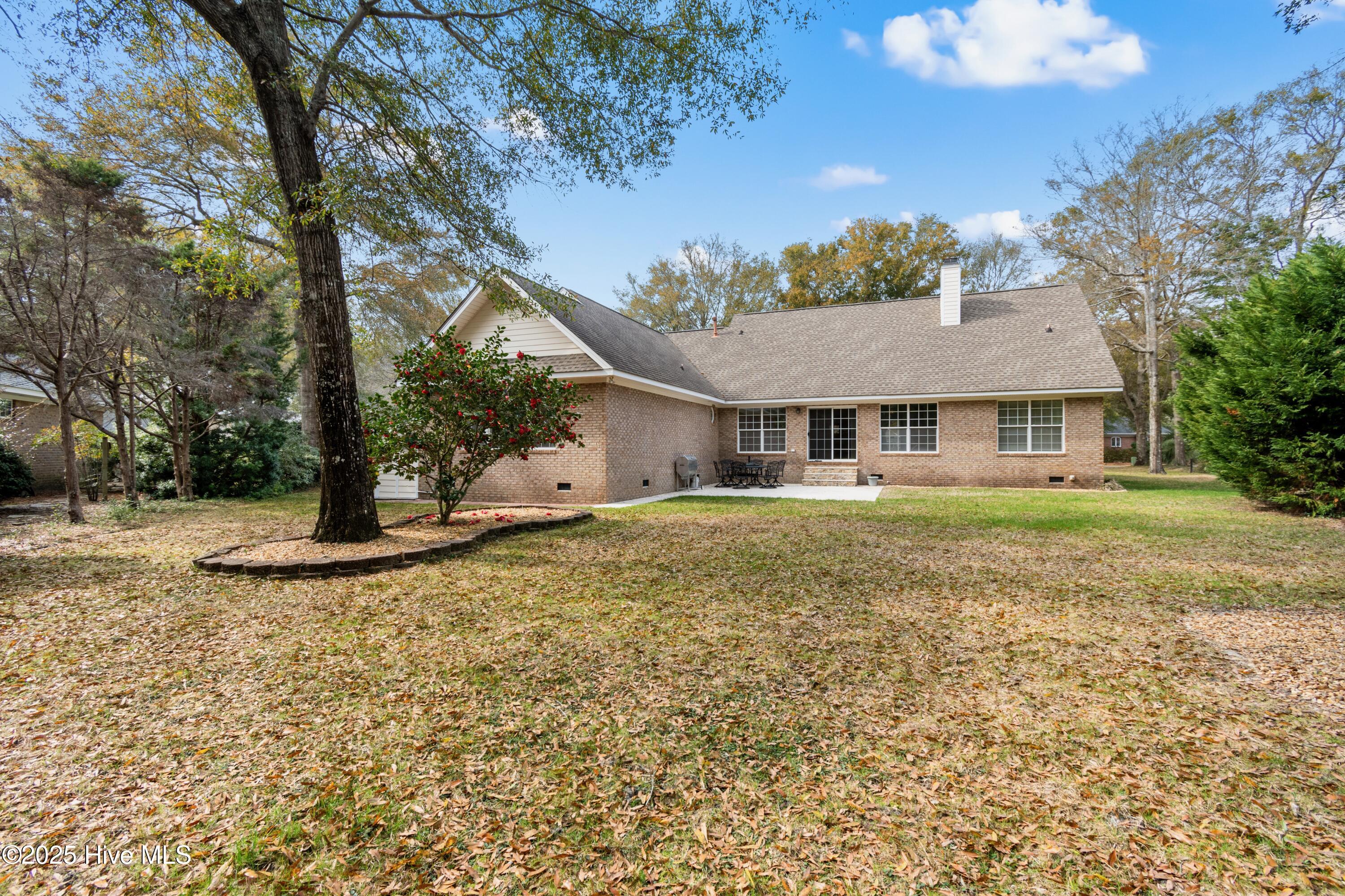 100556146 | Photo 45