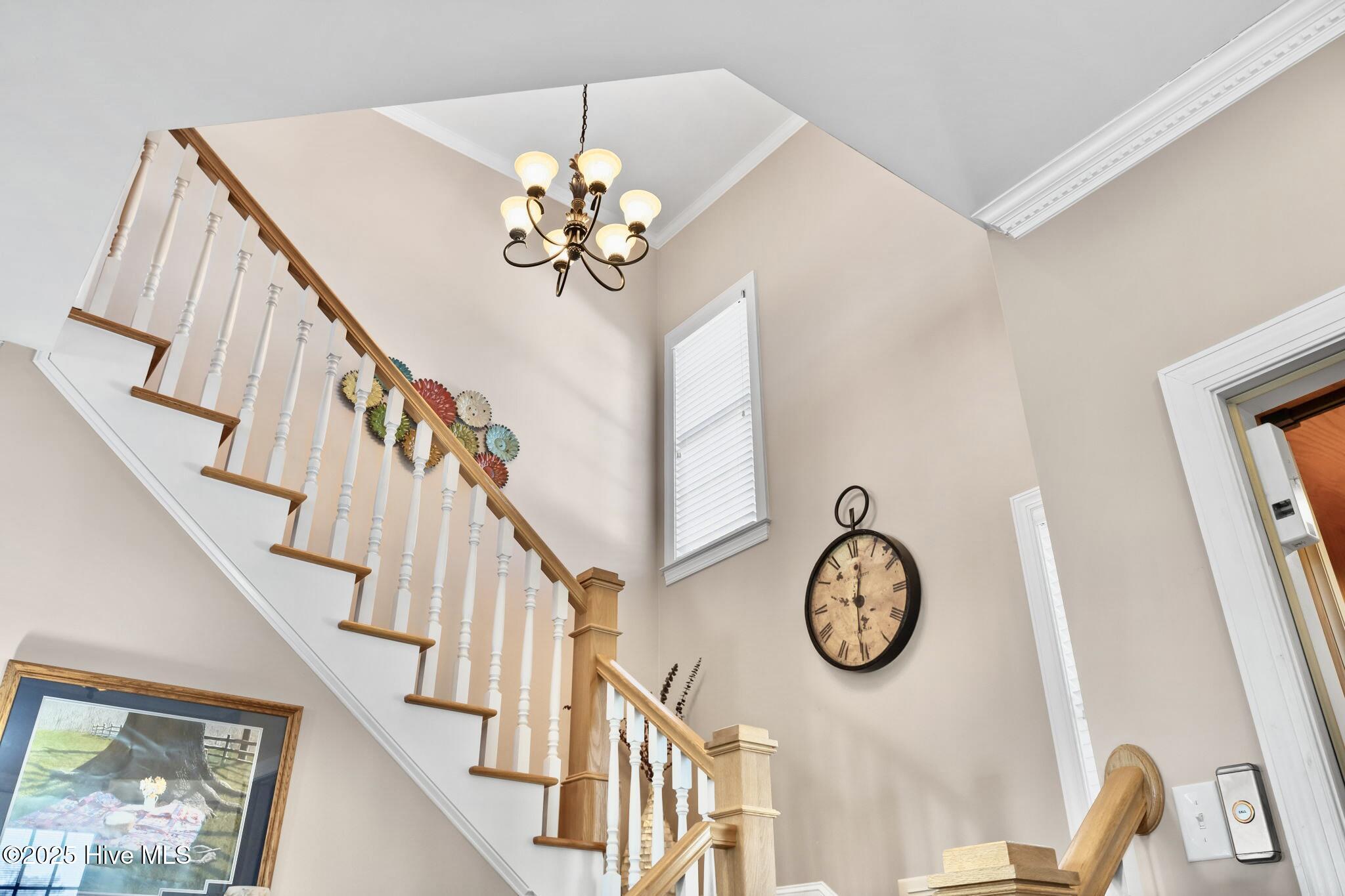 100543841 | Photo 10