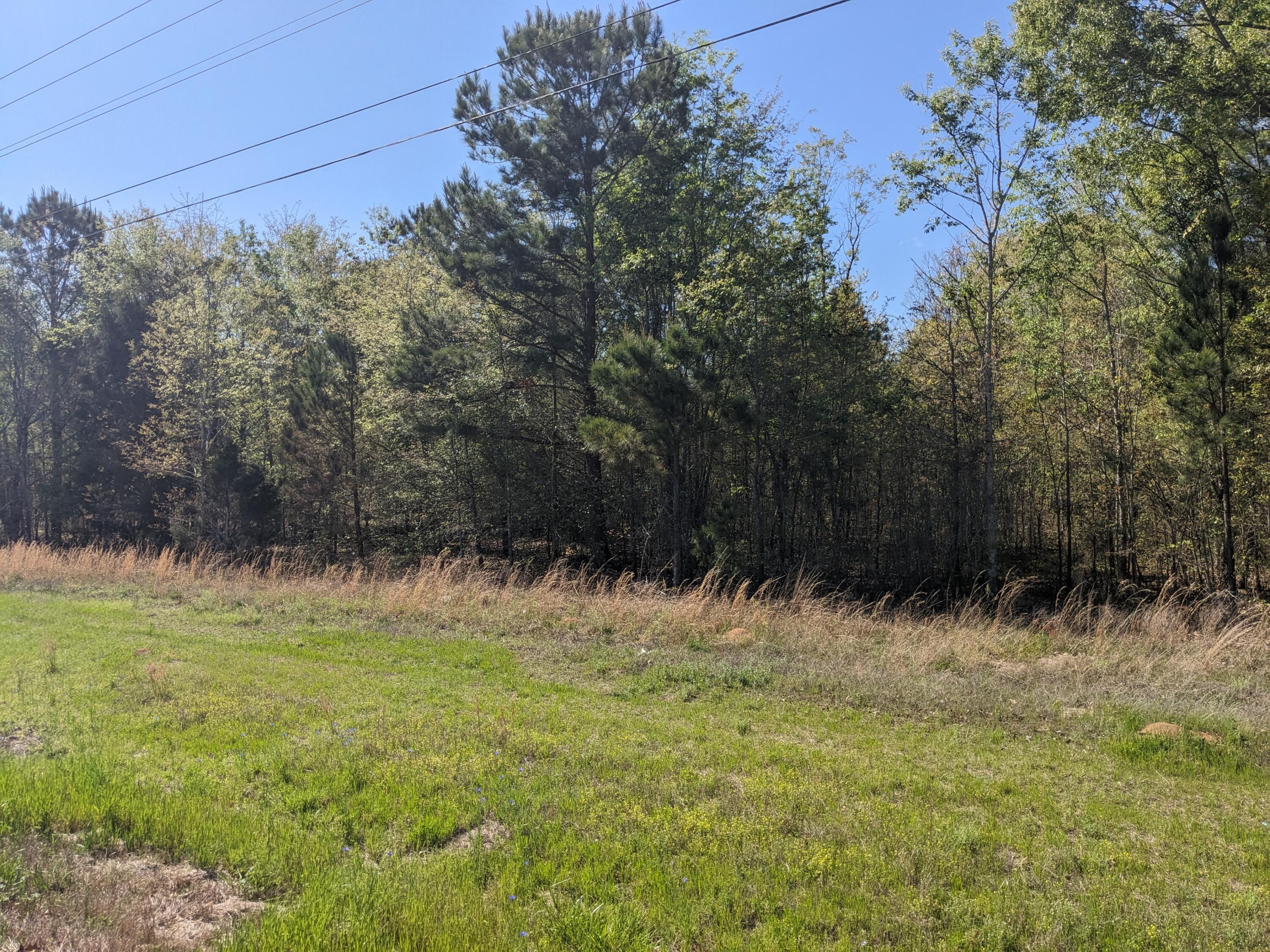 Homes for sale in Blythe, GA | 4781 Deans Bridge Rd, Blythe, GA 30805 | MLS# 98212375