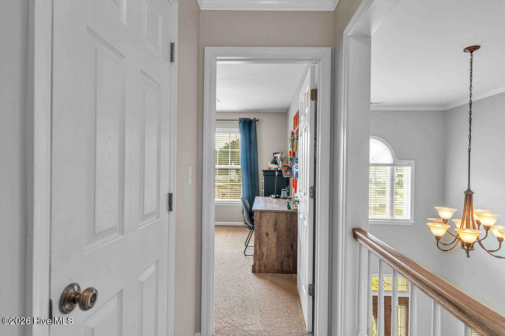 113 Pleasant Court,Jacksonville