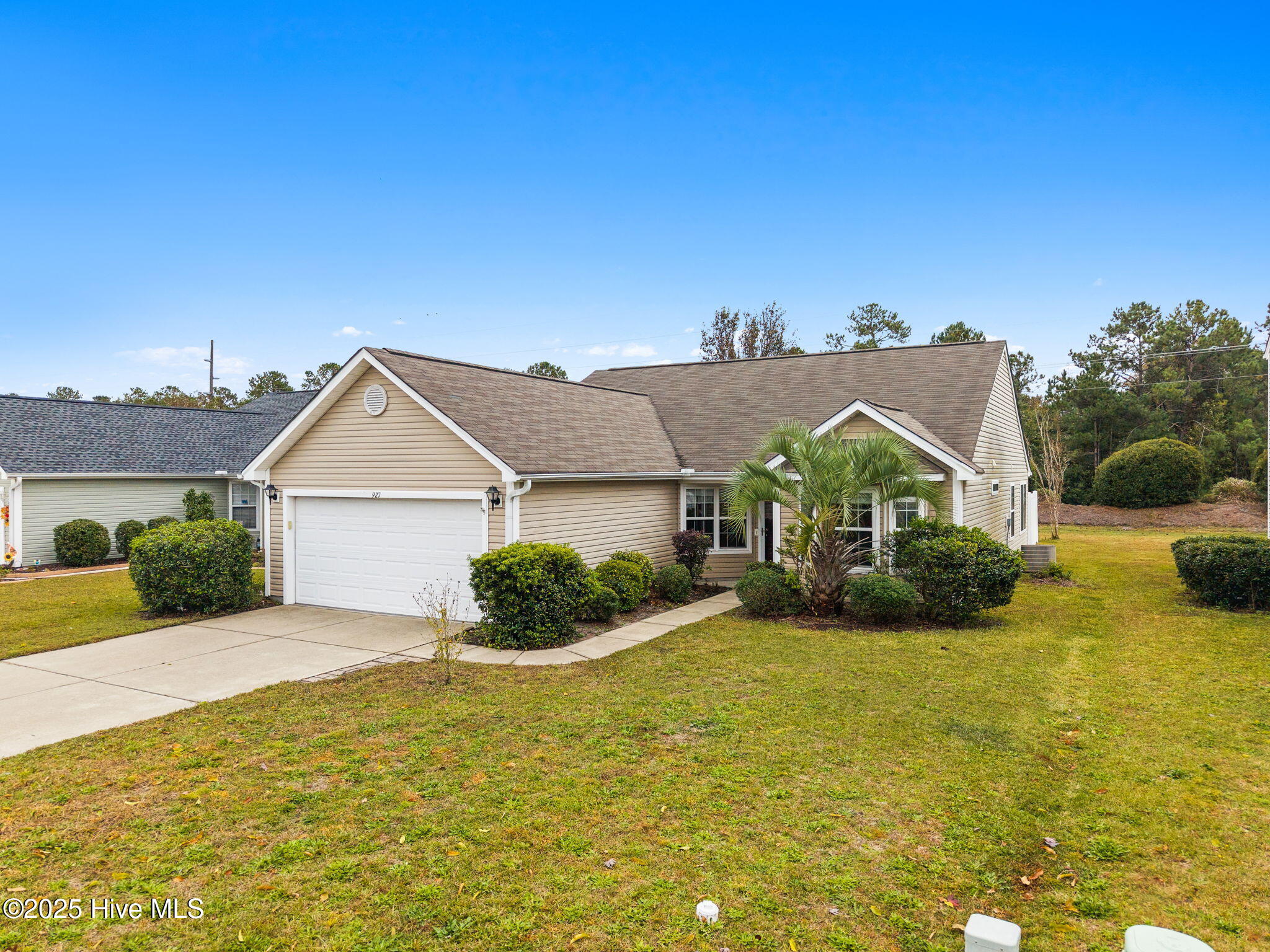 100536152 | Photo 21