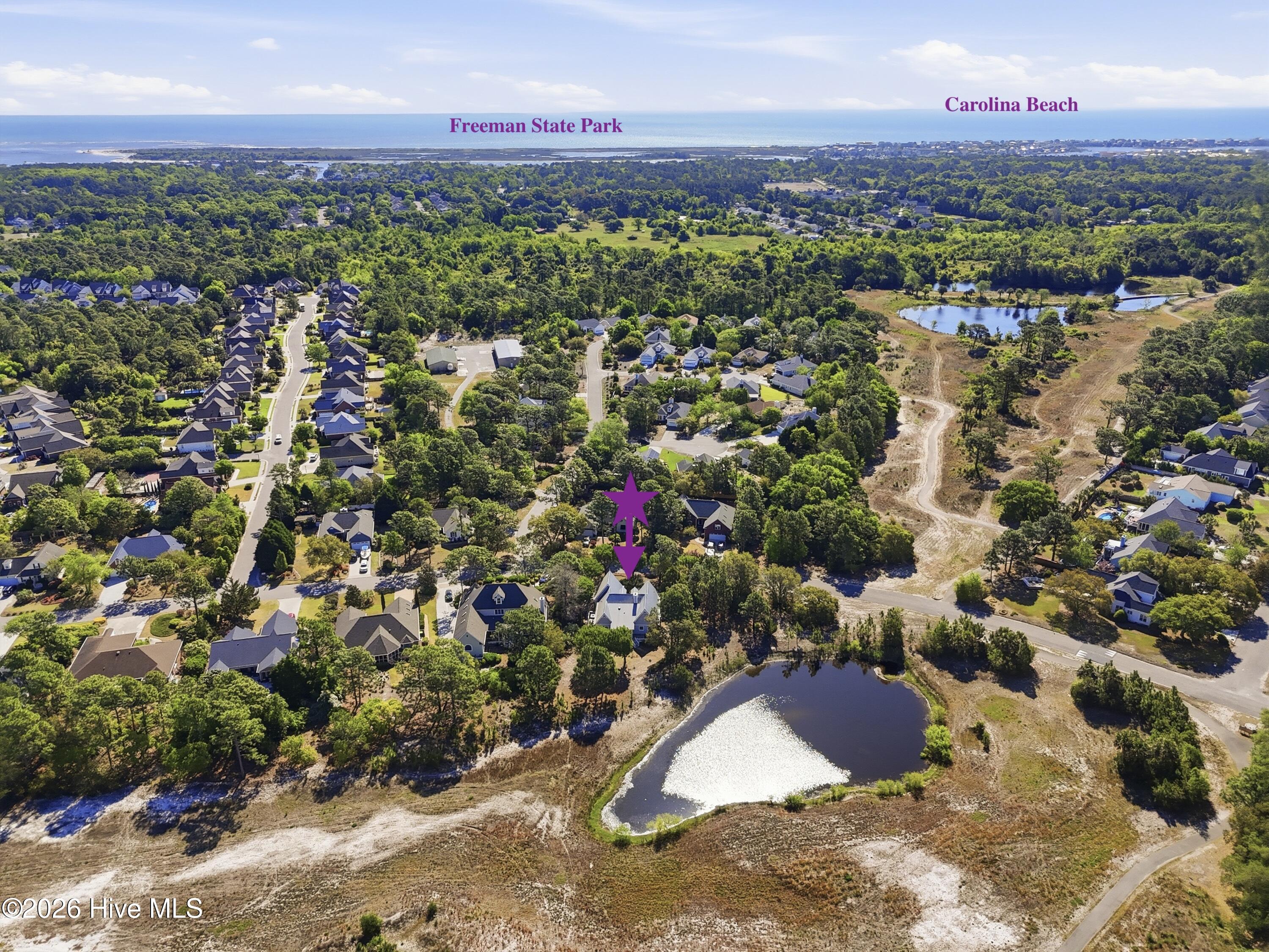 100566160 | Photo 47