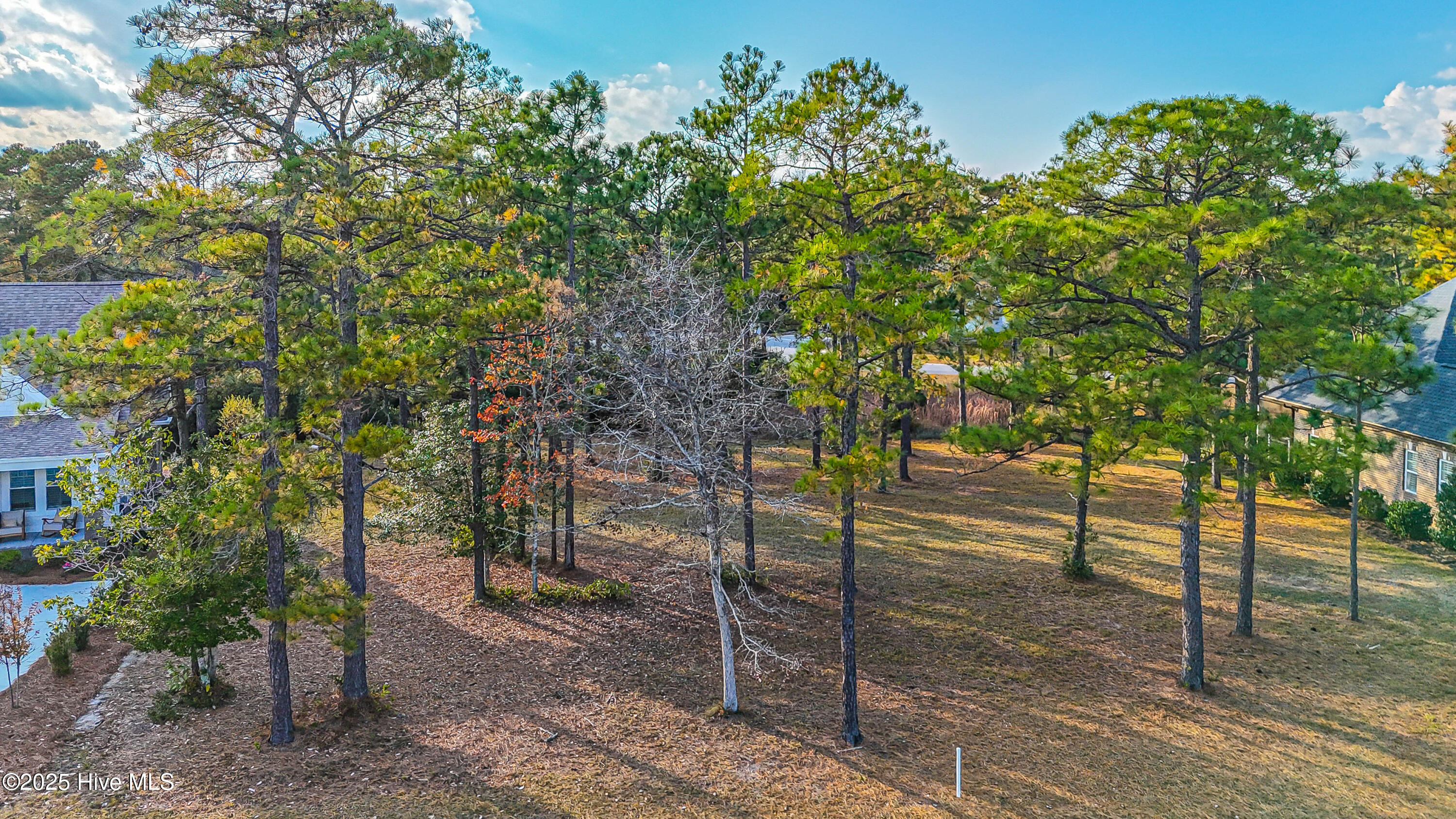 6649 Summerhill, Ocean Isle Beach, North Carolina, 0 ,Residential Lot,For sale,Summerhill,100541686 6649 Summerhill, Ocean Isle Beach, North Carolina, 0 ,Residential Lot,For sale,Summerhill,100541686