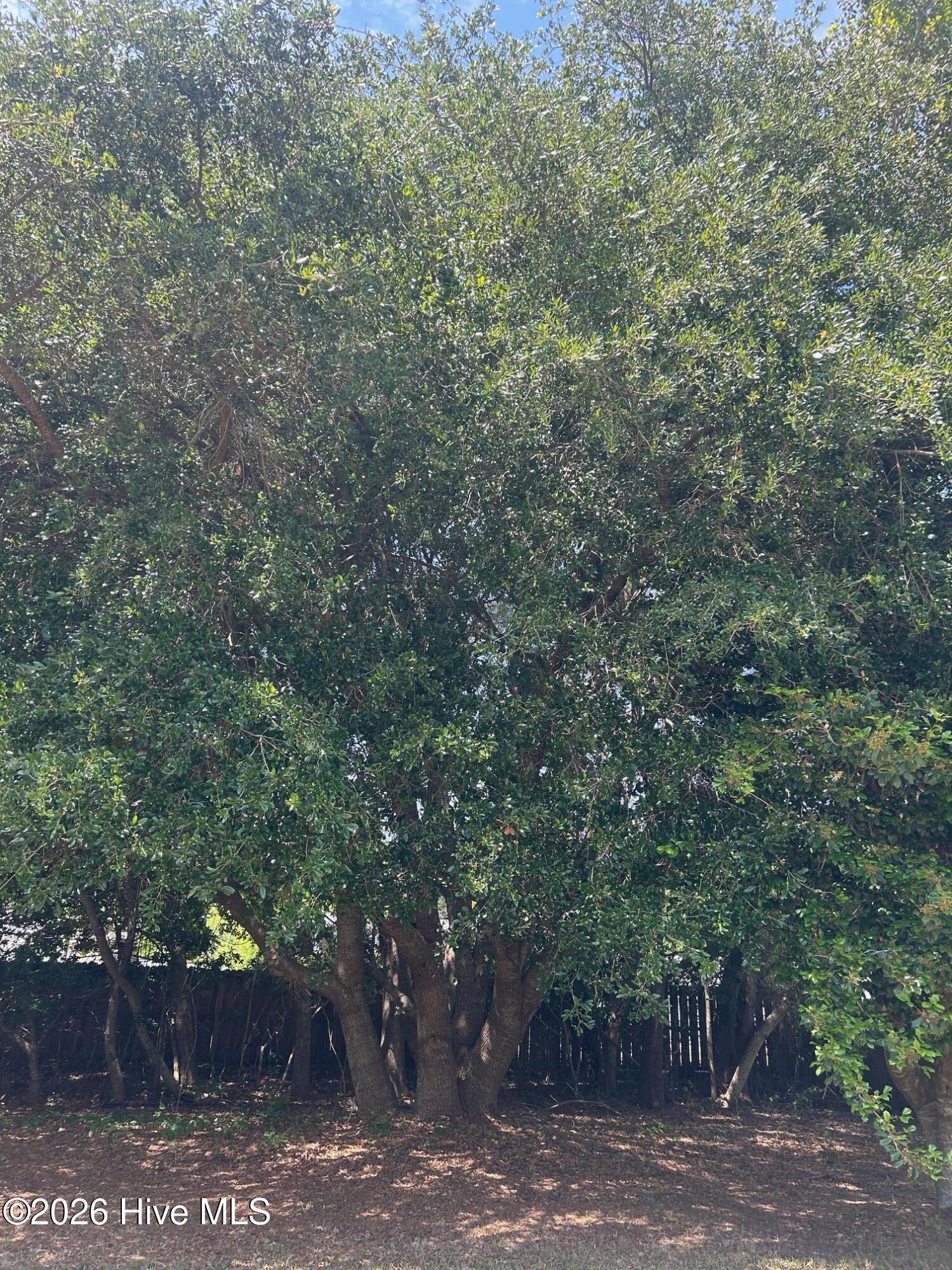 100571926 | Photo 18