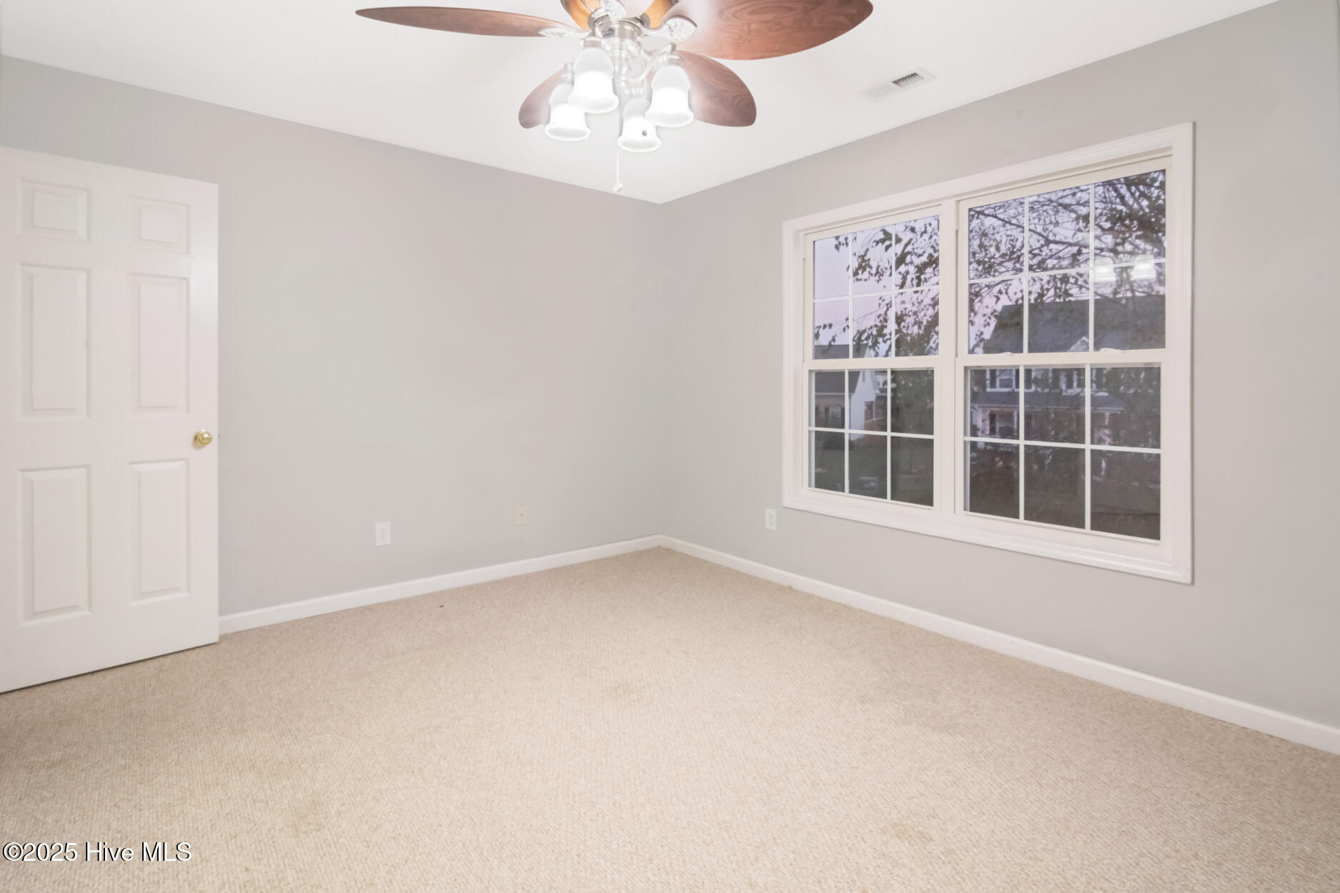 100539589 | Photo 15