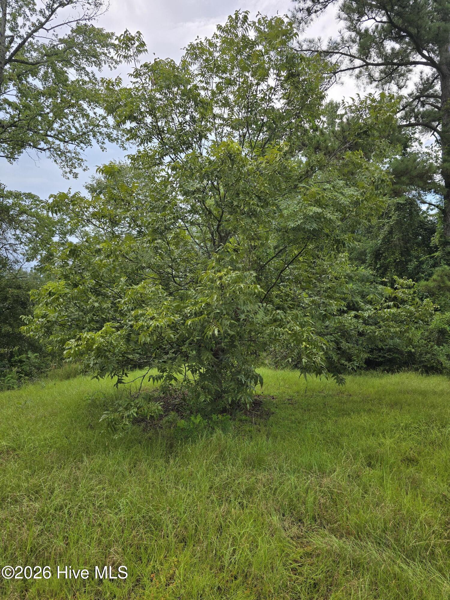 image of 2865 Wheeler Rd, Thomson, GA 30824 | MLS# 100597299