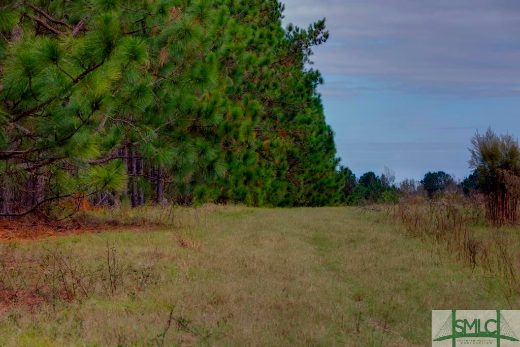 Undisclosed Address, Sylvania, GA, 30467