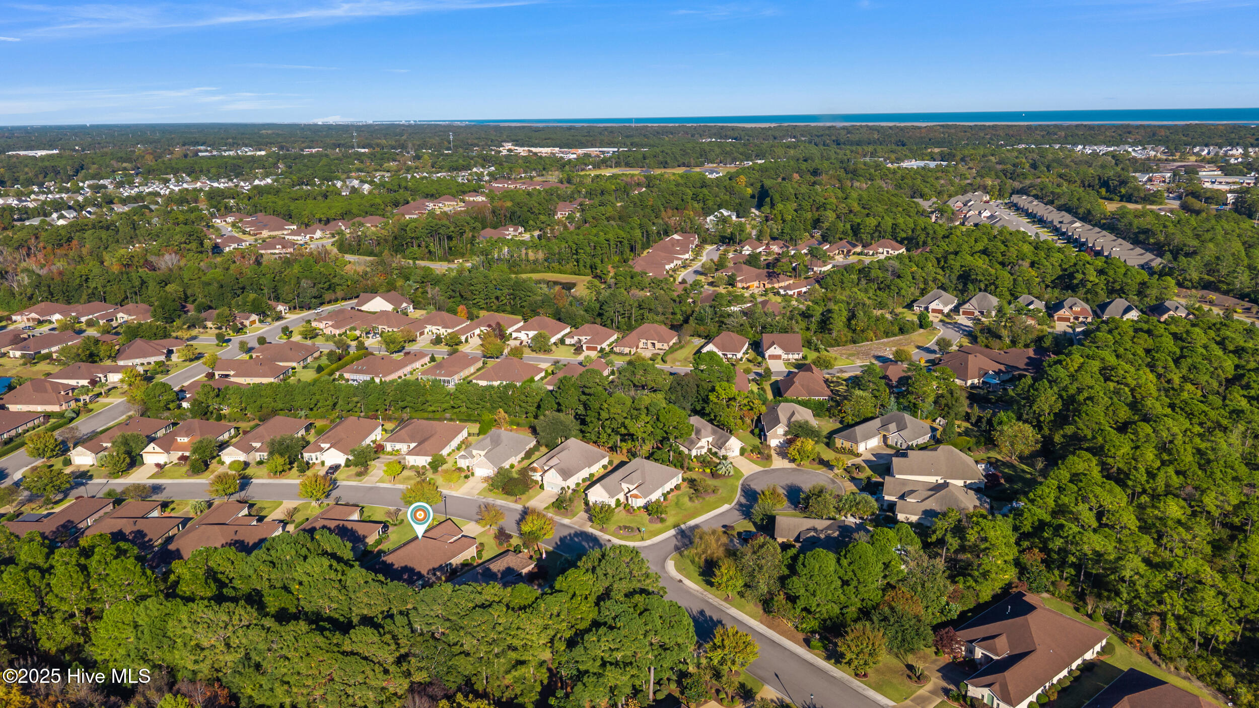 100539412 | Photo 42