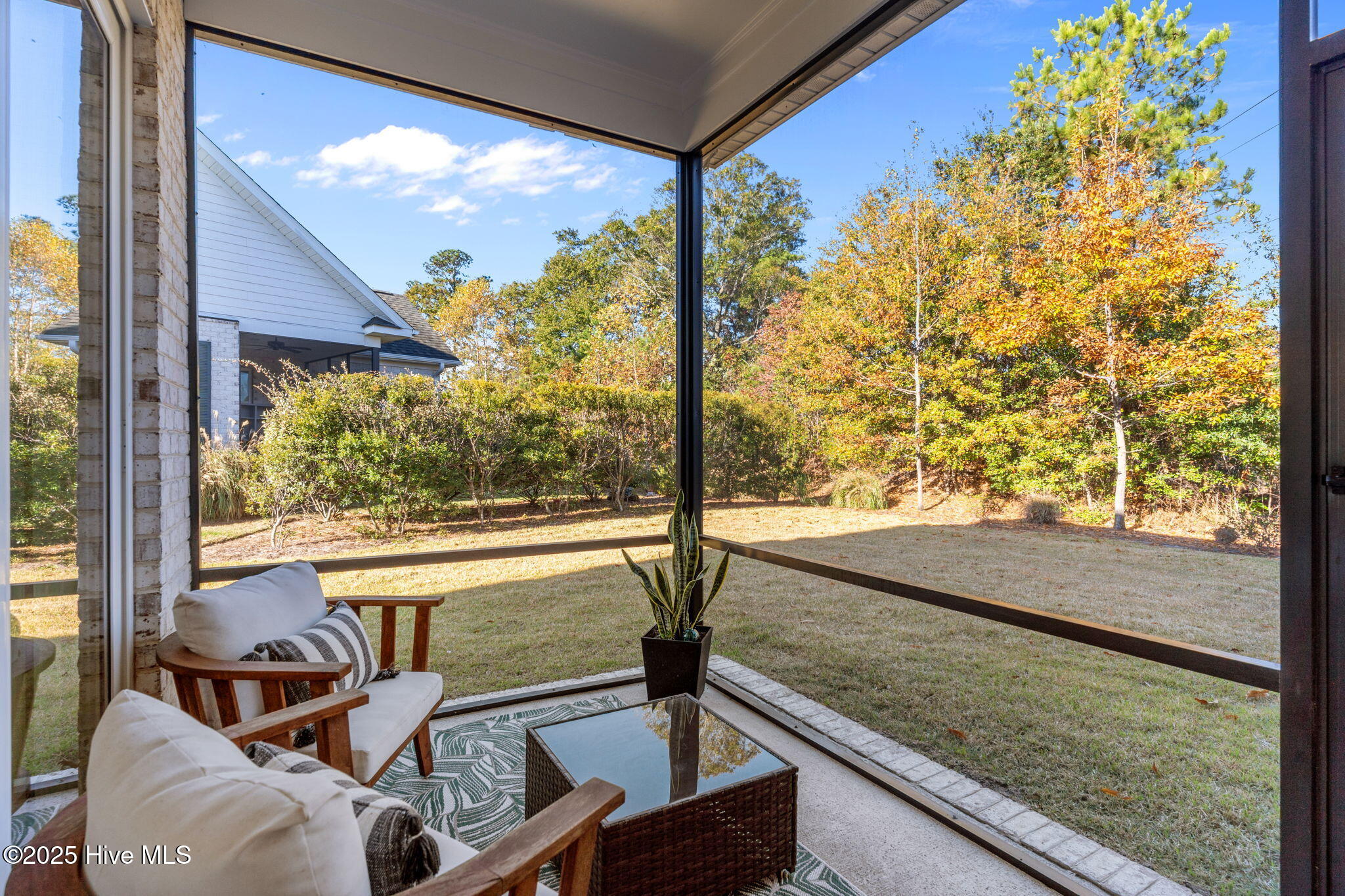 100543131 | Photo 40