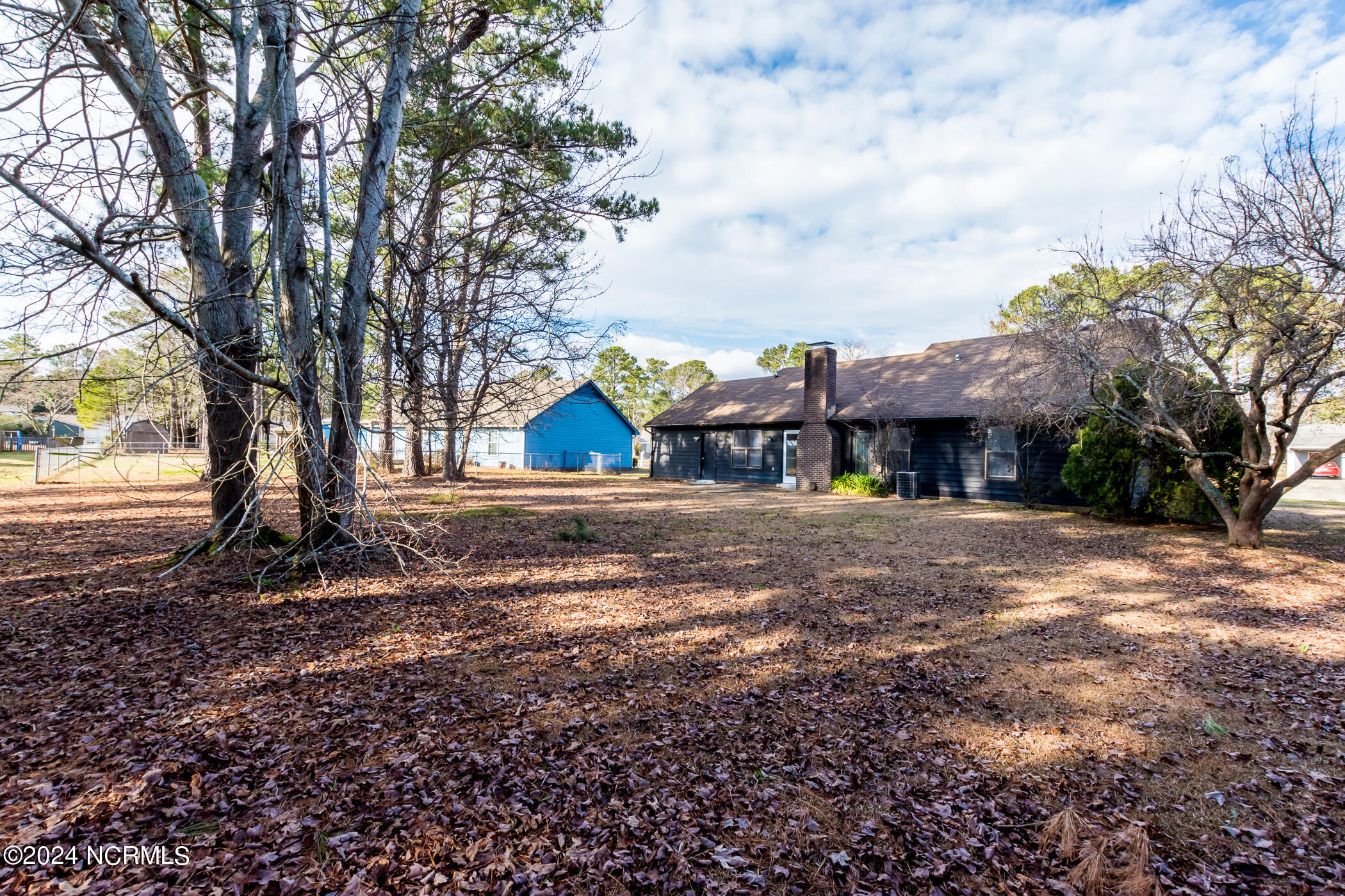 100528629 | Photo 11