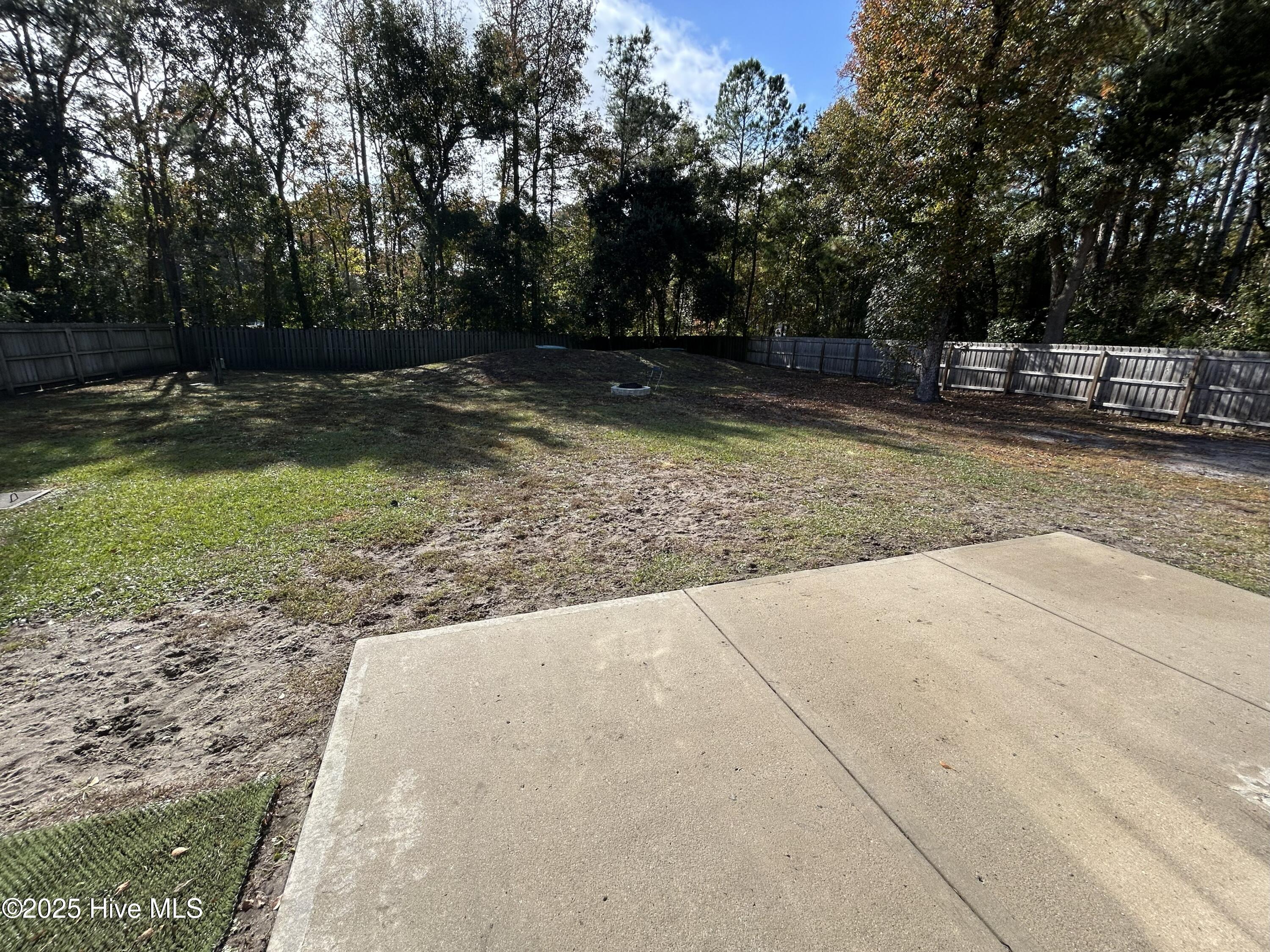 100541351 | Photo 25