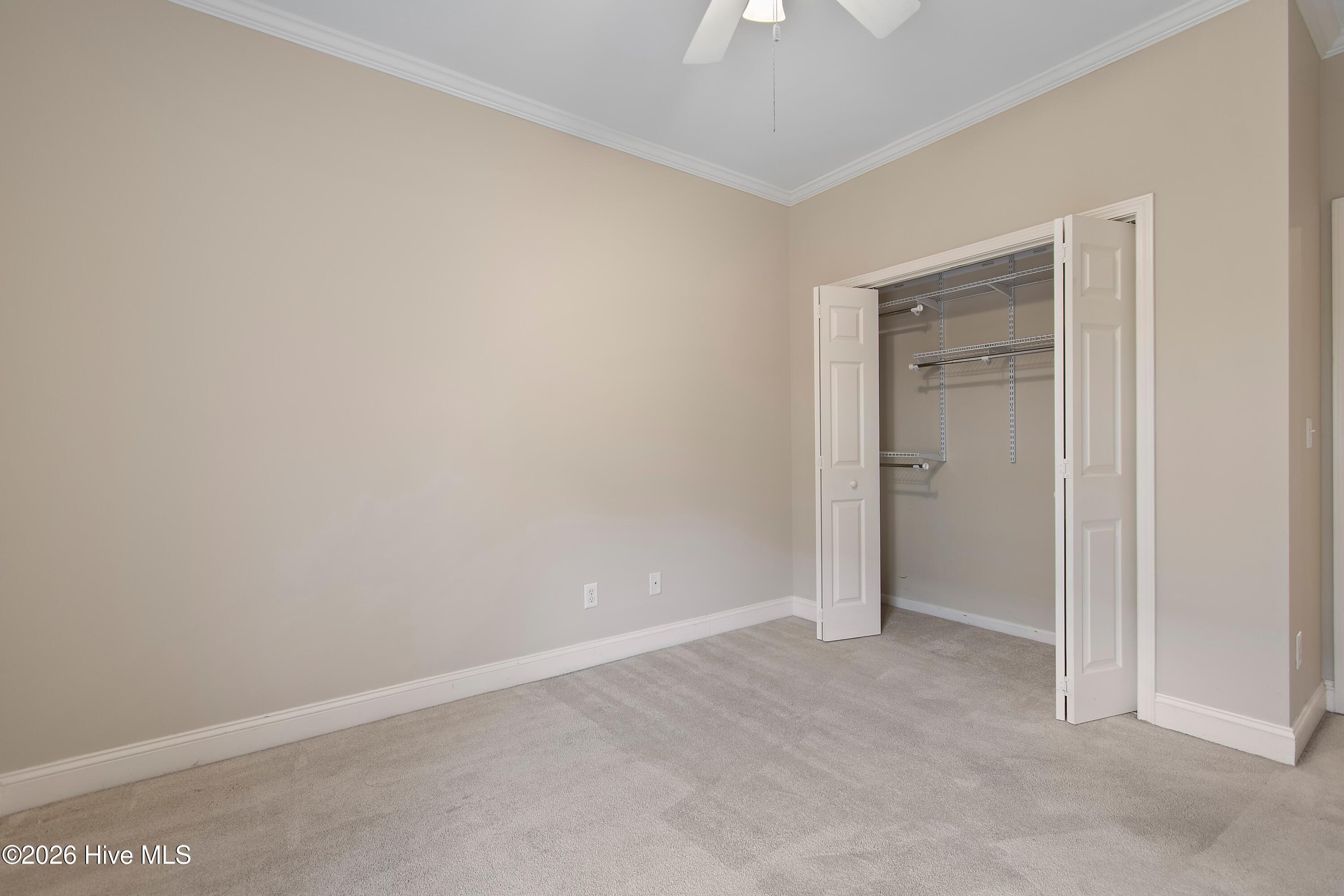 100562545 | Photo 30