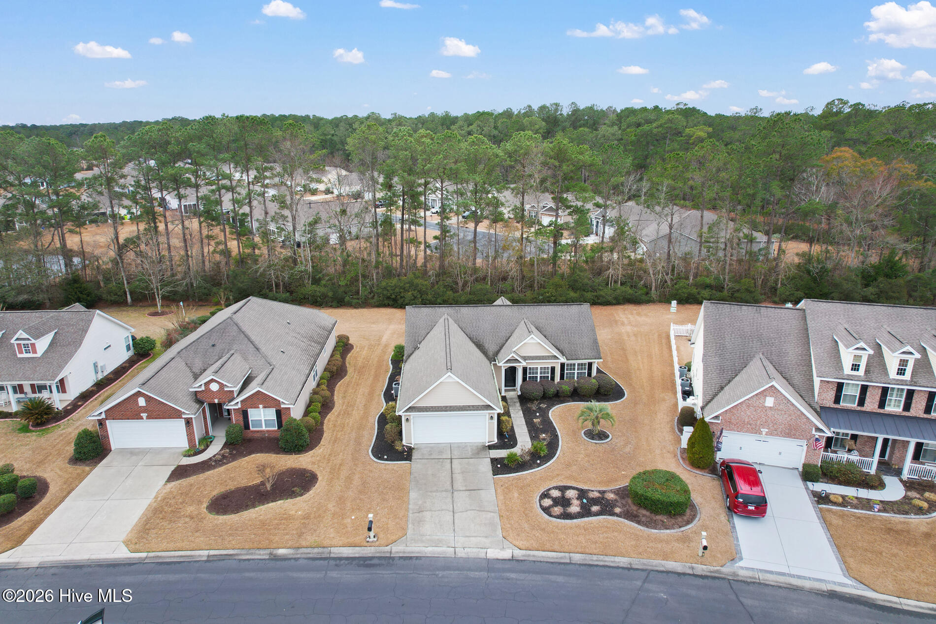 100555398 | Photo 30