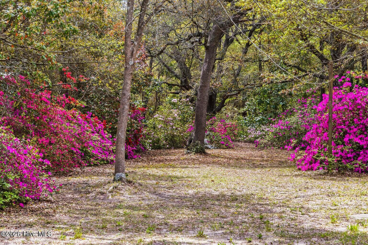 100548407 | Photo 13