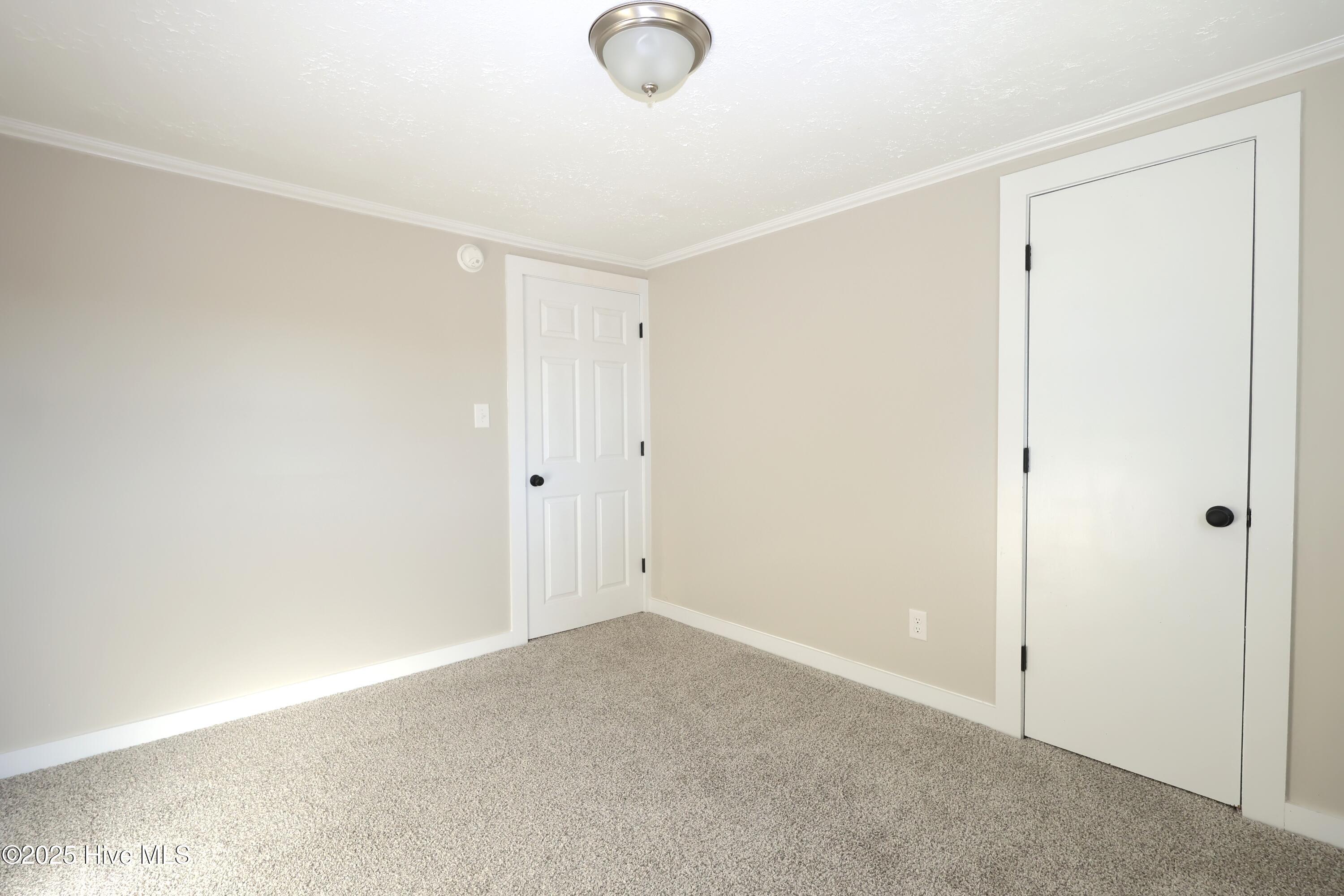 100539697 | Photo 17