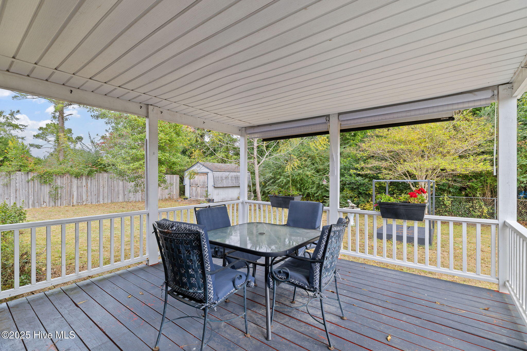 100539016 | Photo 39