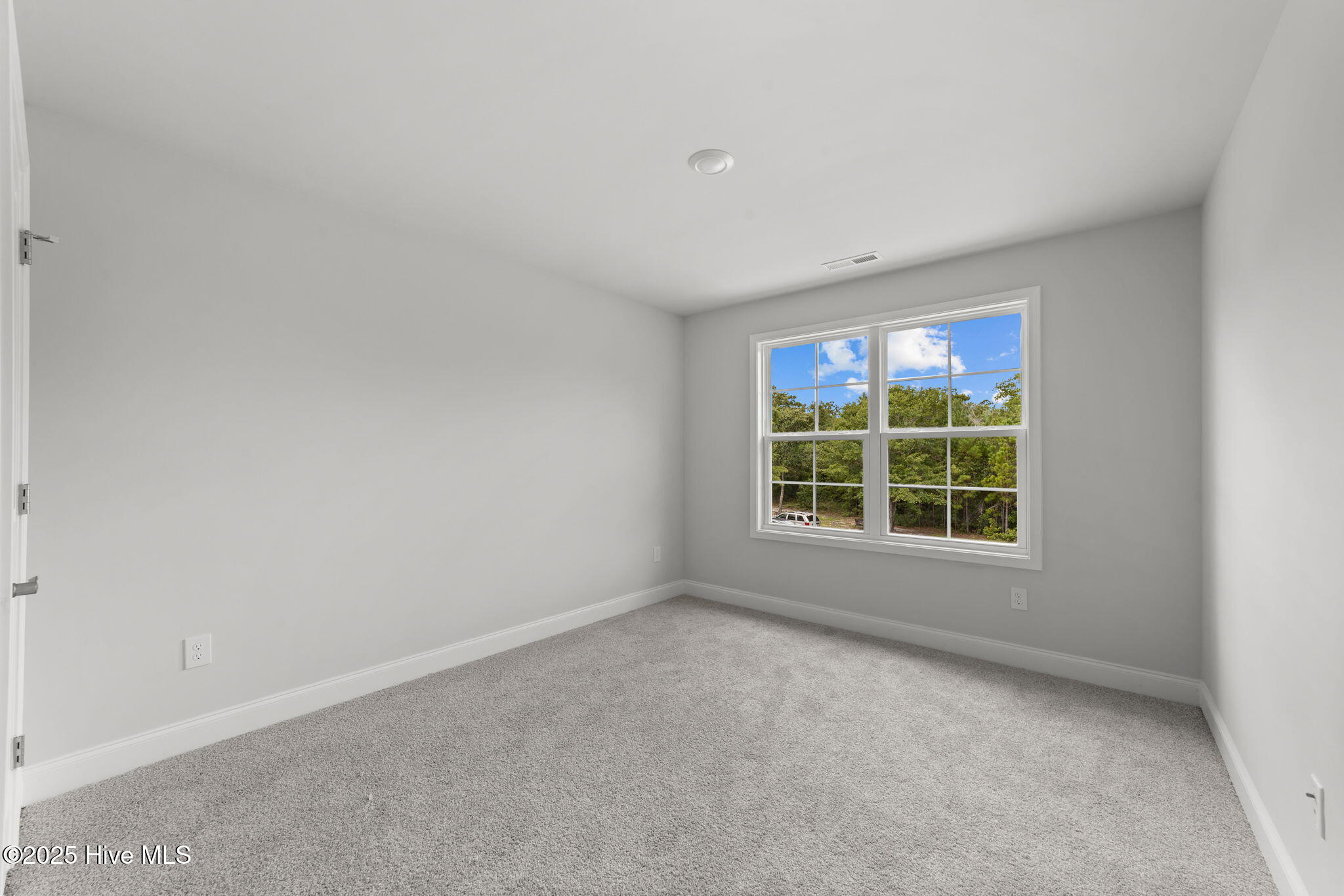 100523810 | Photo 18