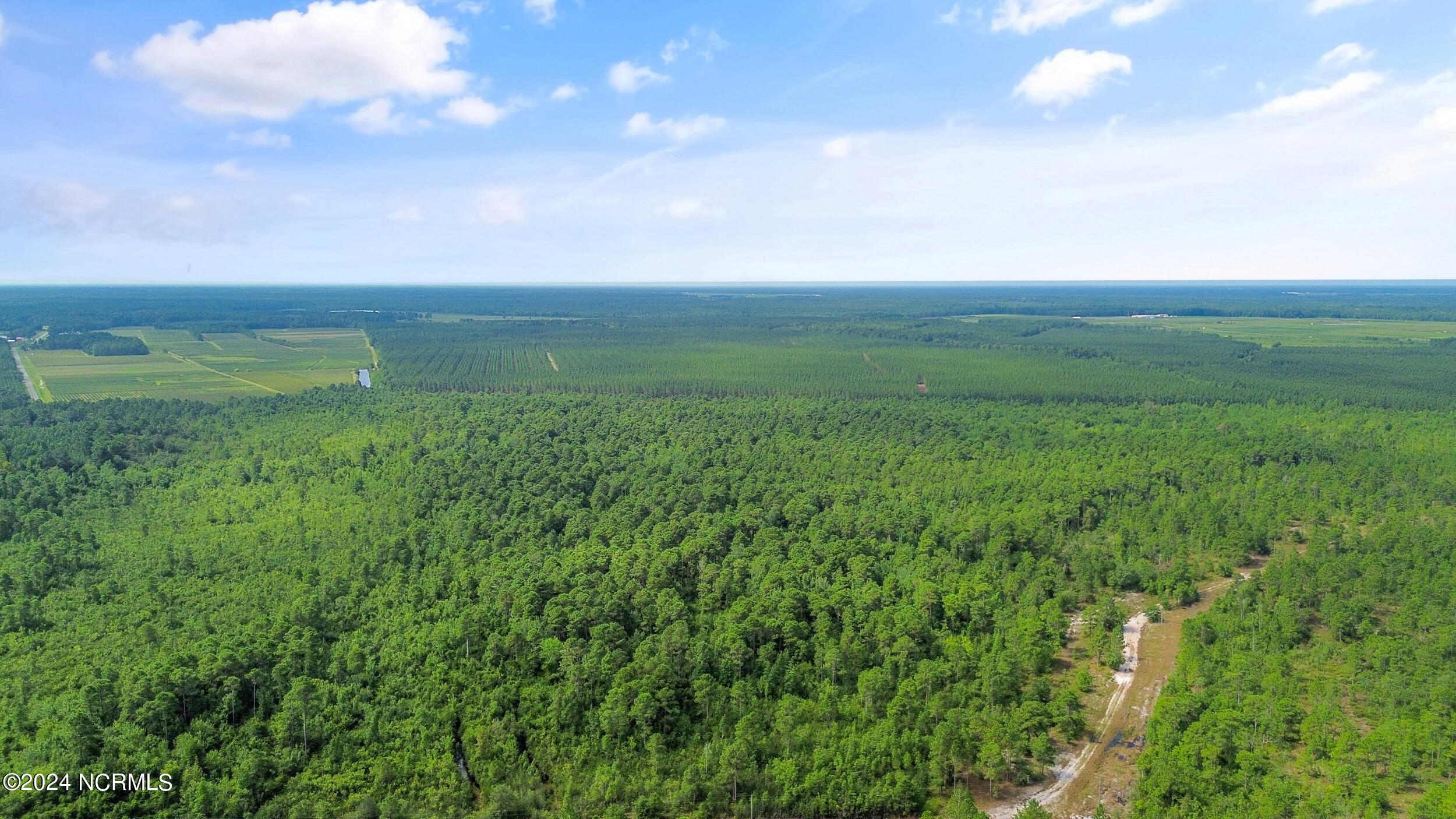 Homes for sale in Ivanhoe, NC | 1 Lizzie Henry Rd, Ivanhoe, NC 28447 | MLS# 100551625