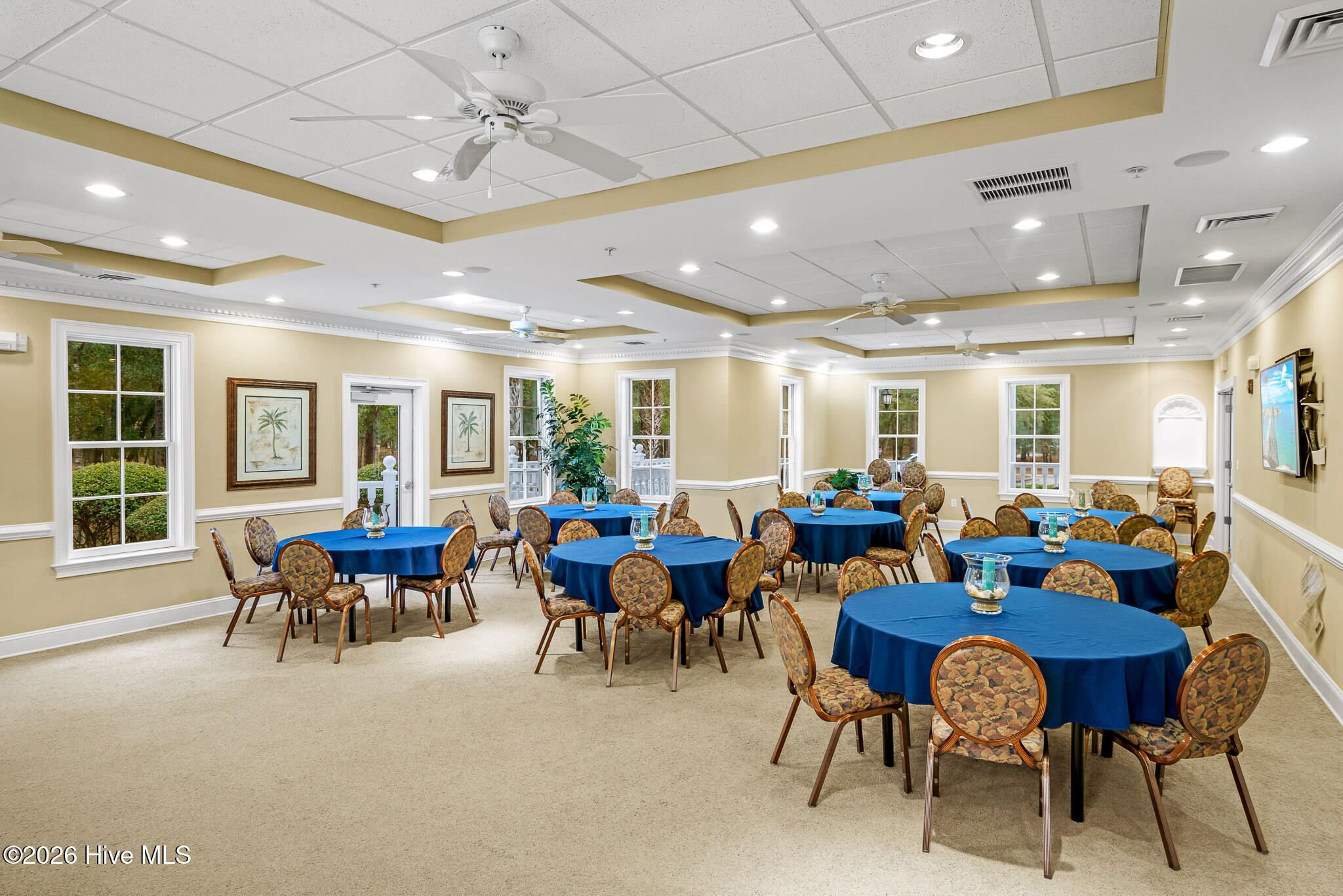 100559457 | Photo 35