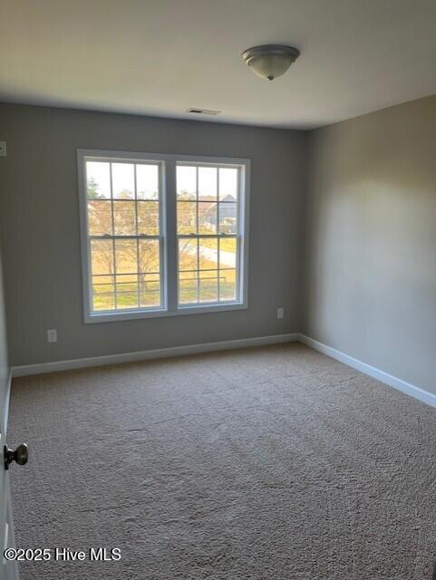 100537442 | Photo 21