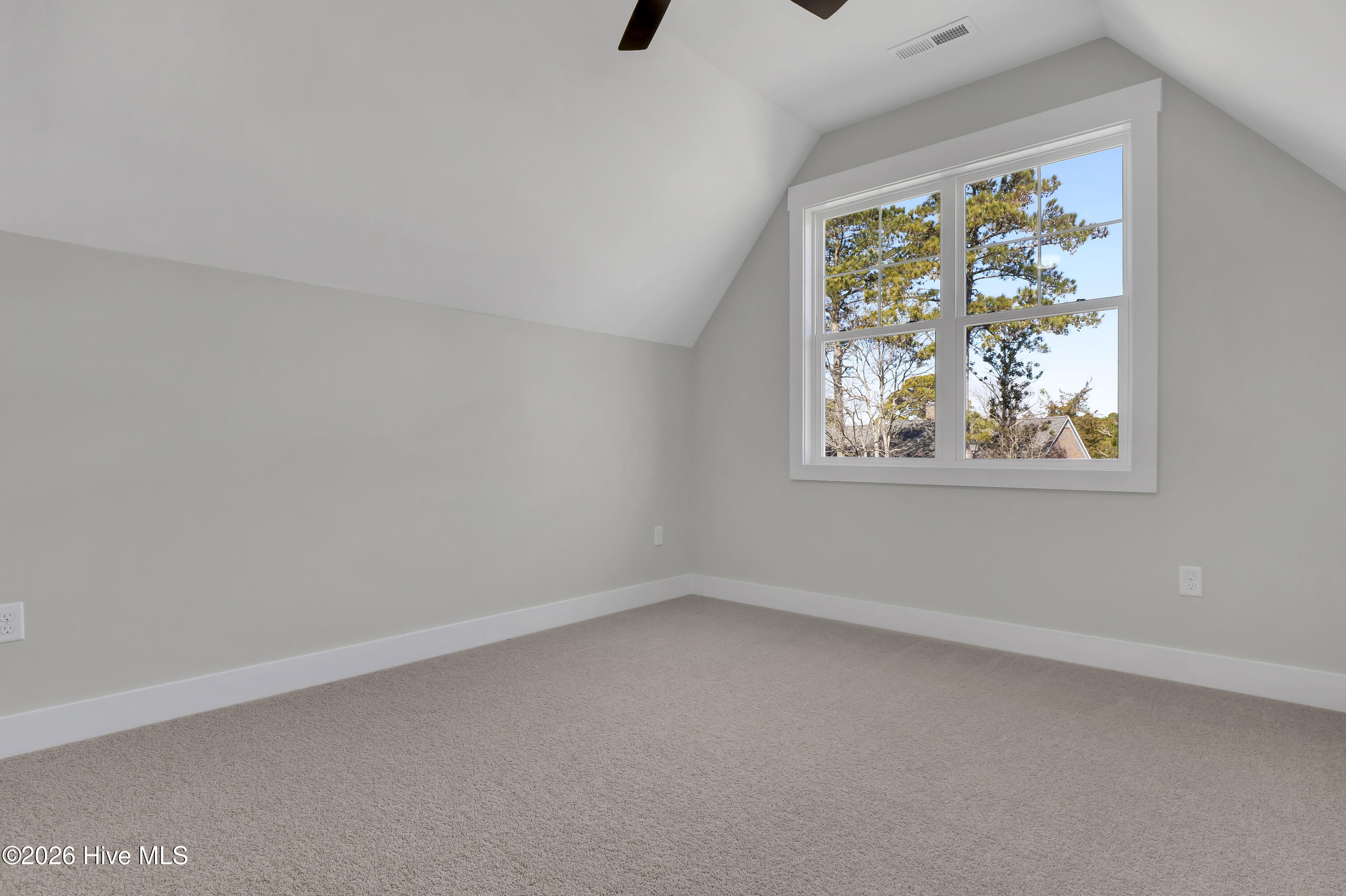 100553598 | Photo 29