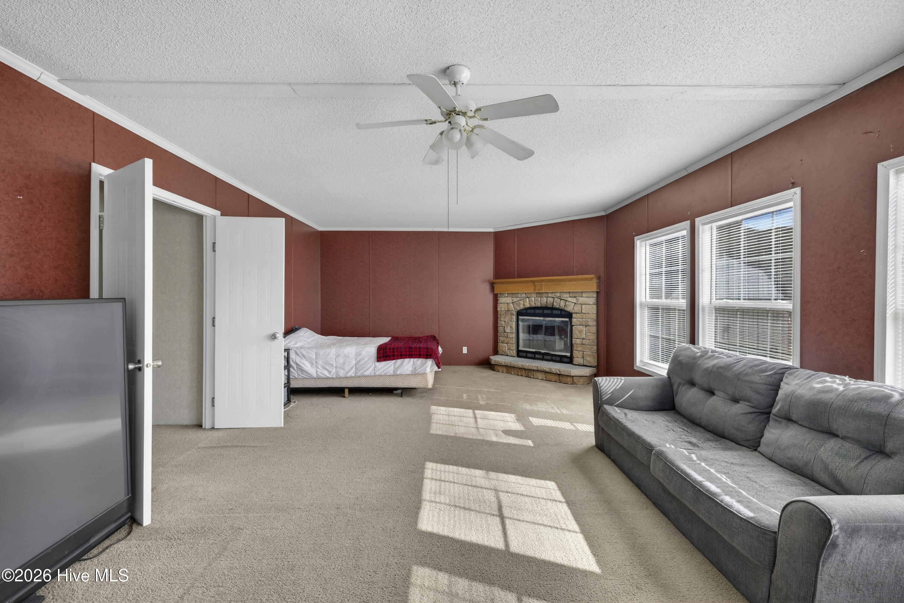 100553499 | Photo 18