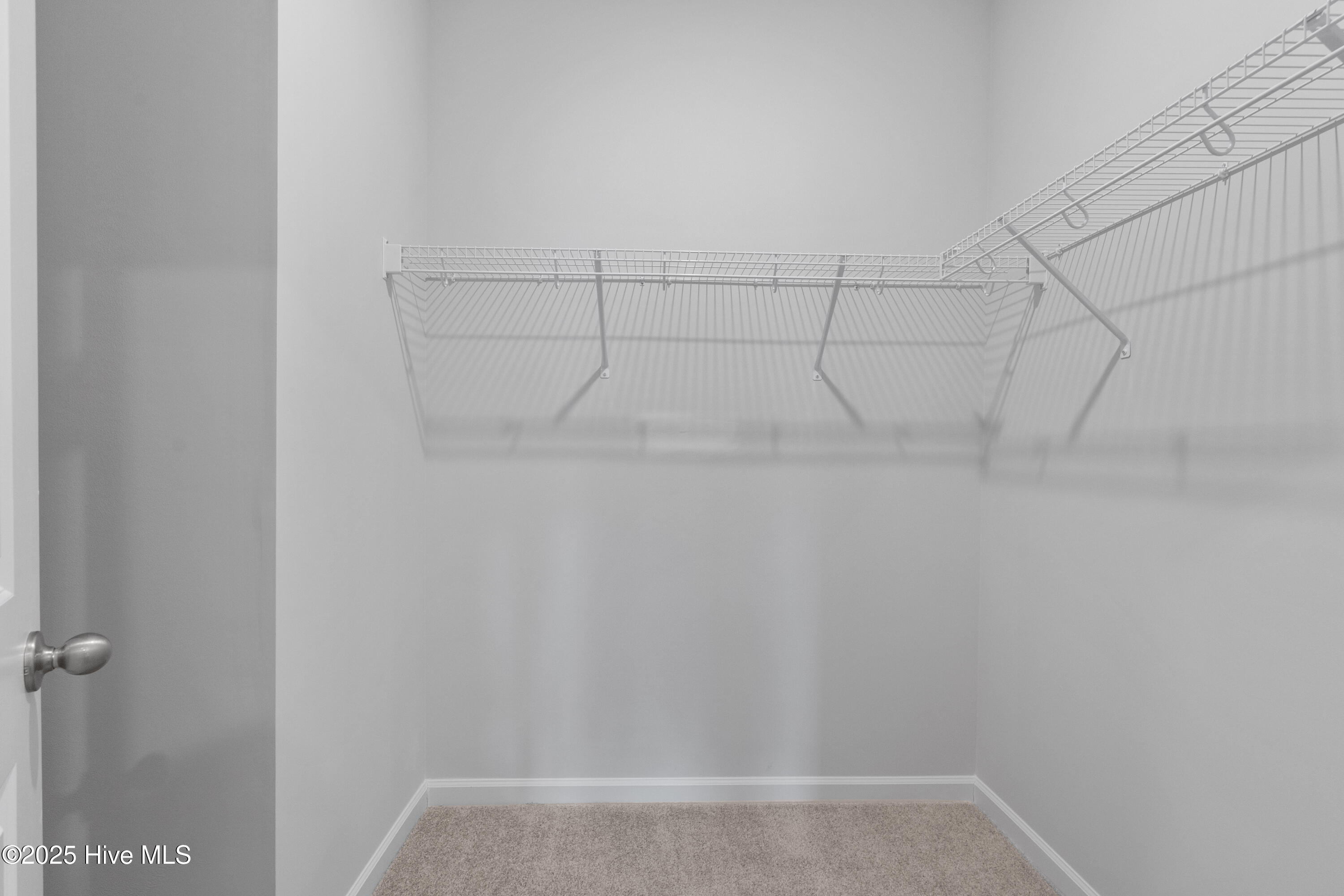 100510823 | Photo 17