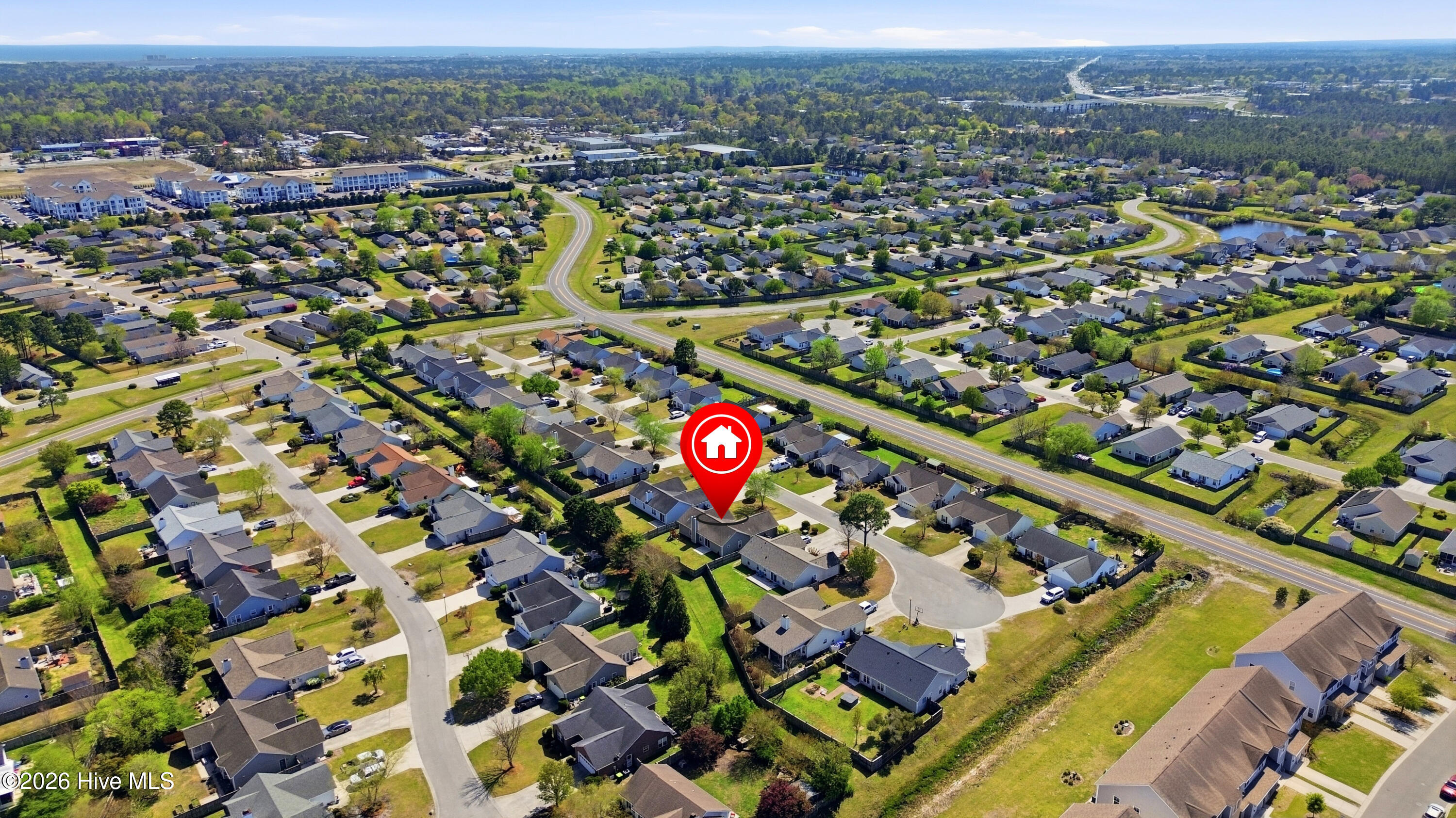 100564031 | Photo 42