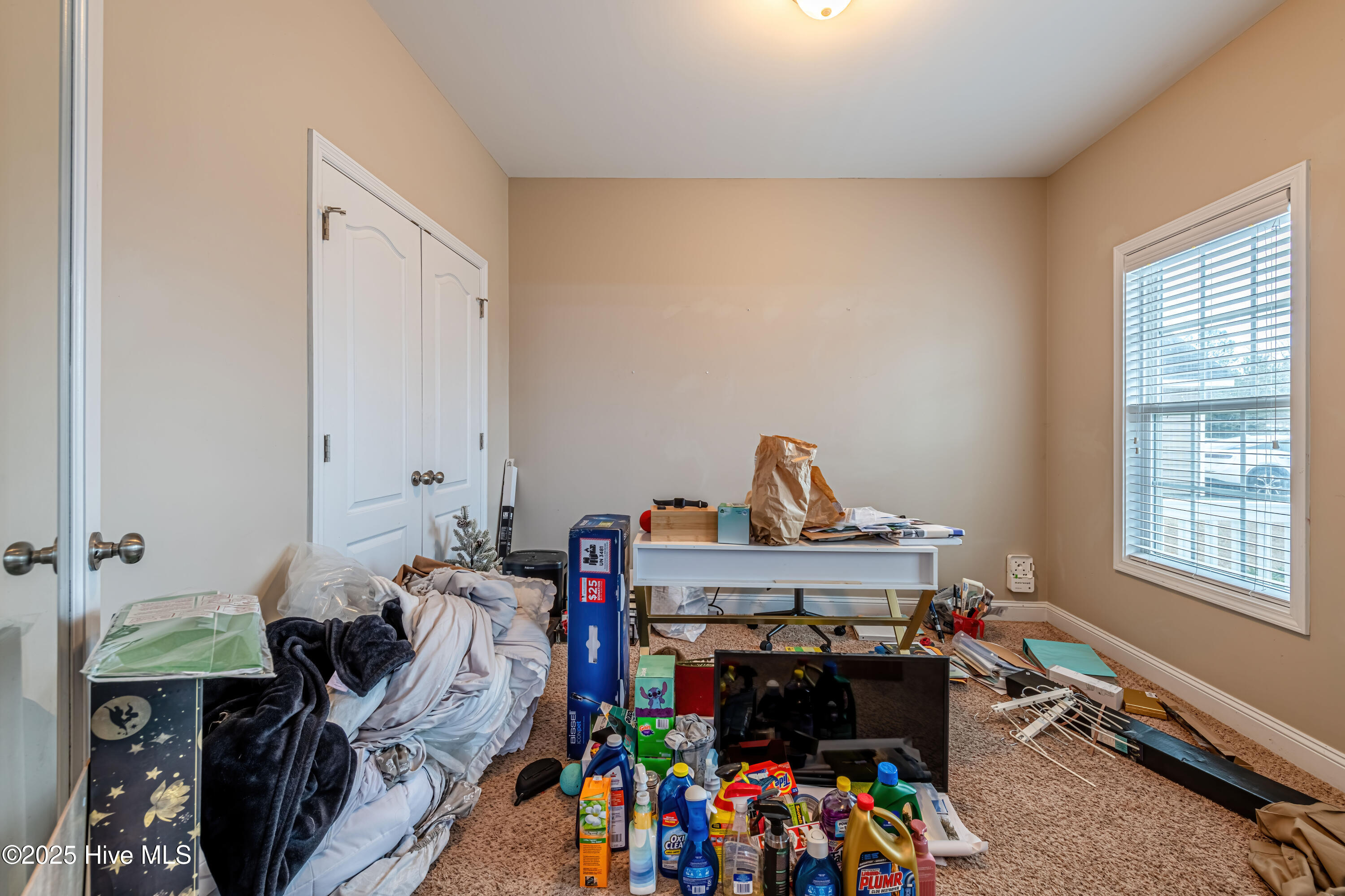 100546682 | Photo 12