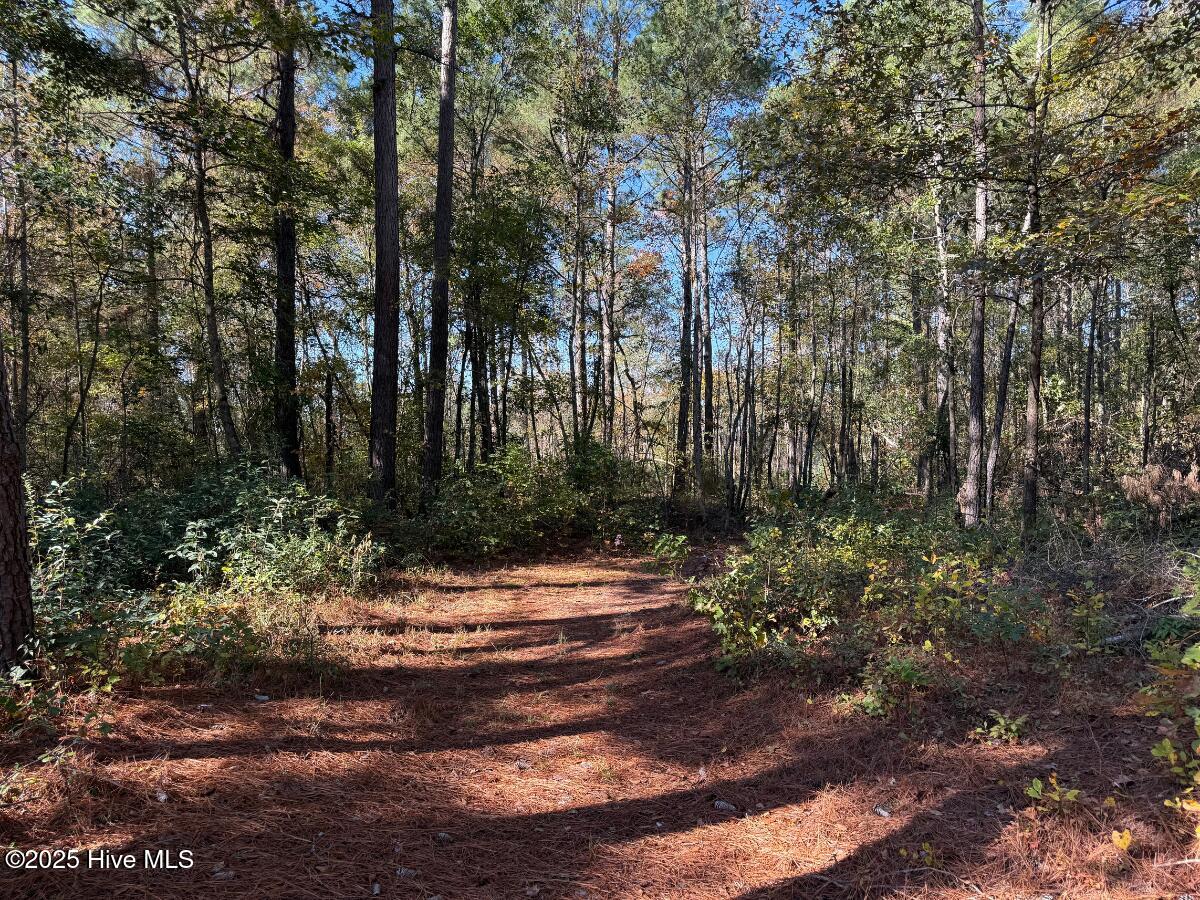 100540348 | Photo 37