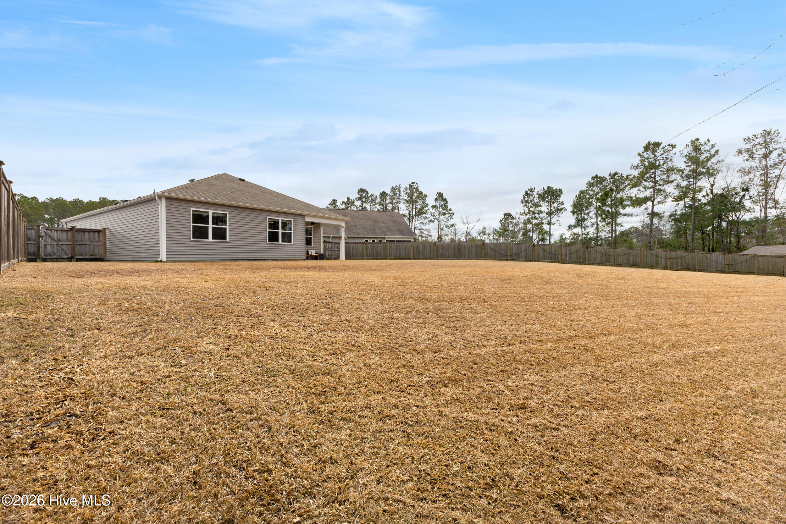 100555223 | Photo 30