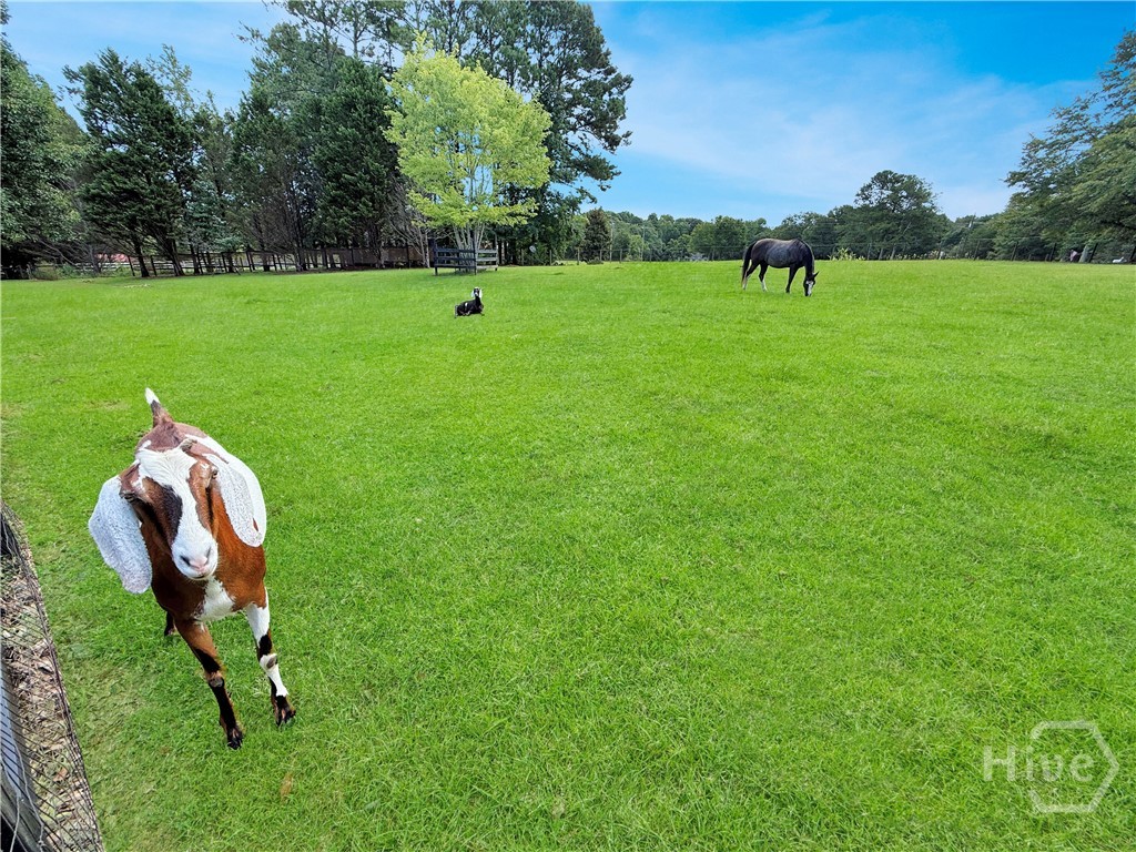 Plenty of space to enjoy