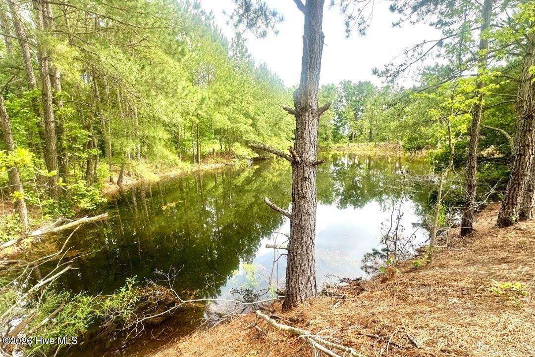 100550417 | Photo 42