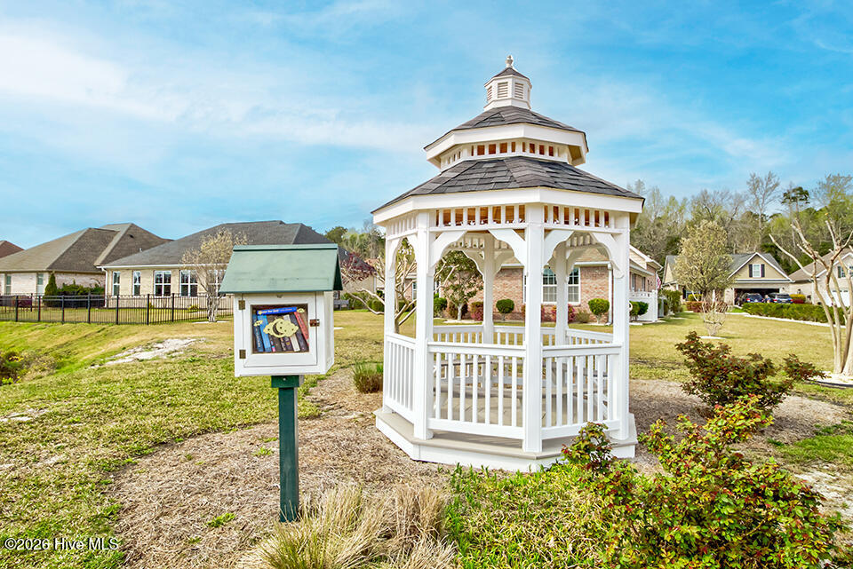 100562177 | Photo 23