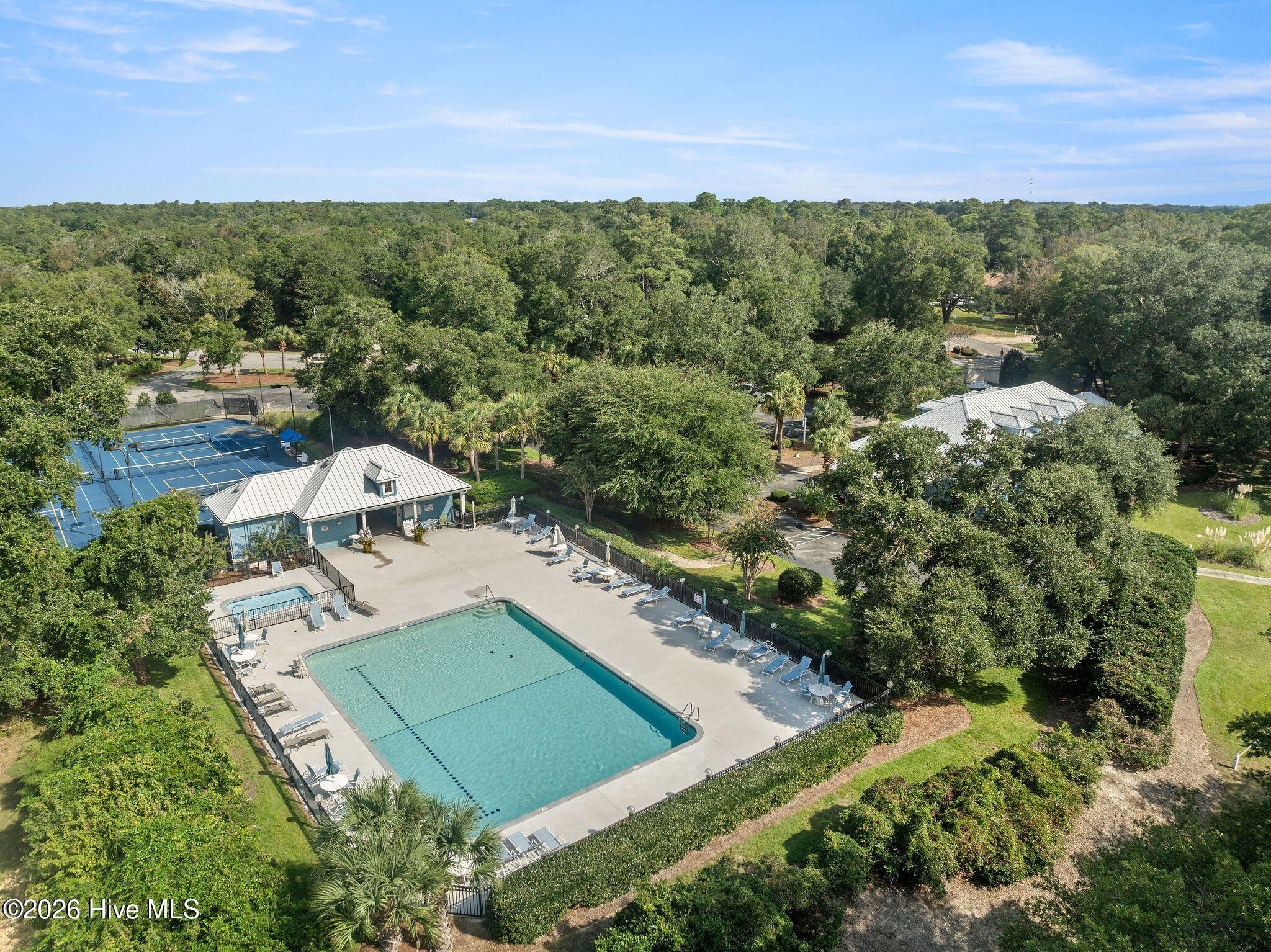 100552877 | Photo 13