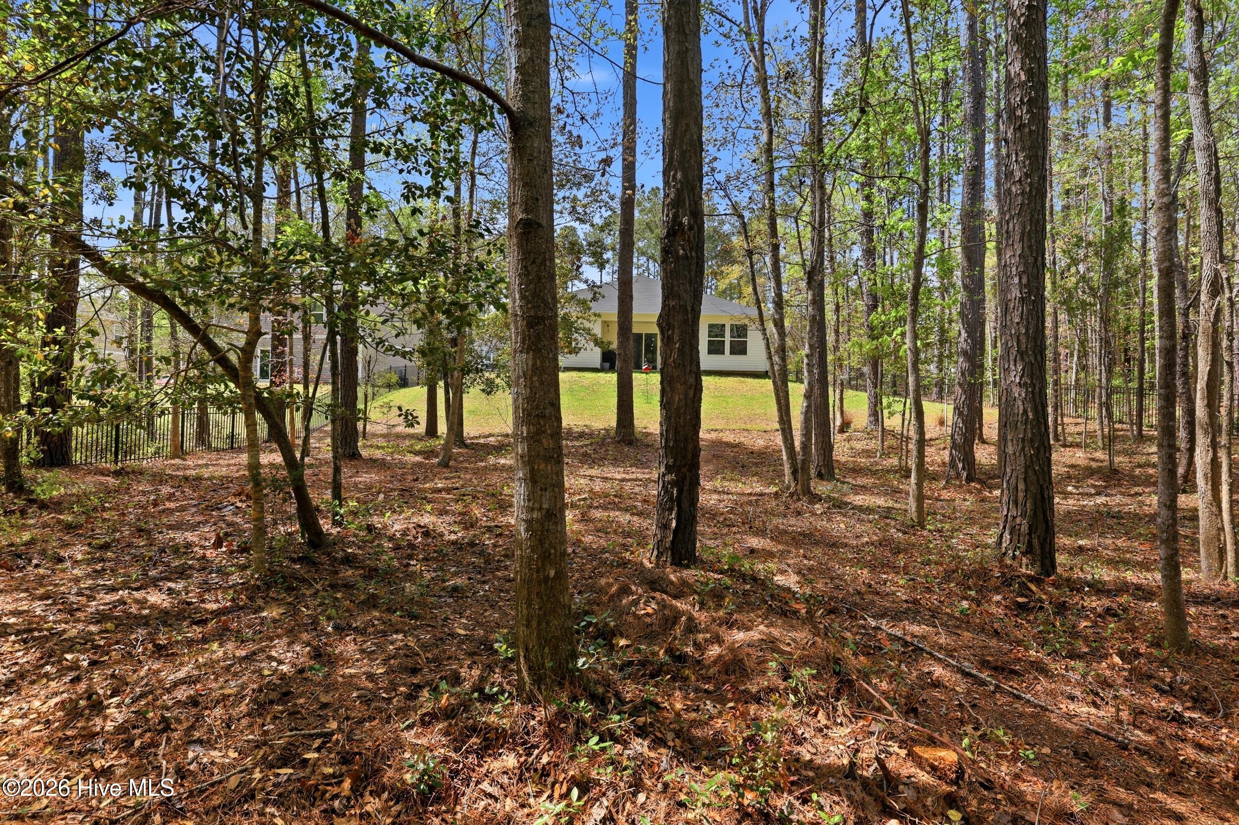 100565948 | Photo 42