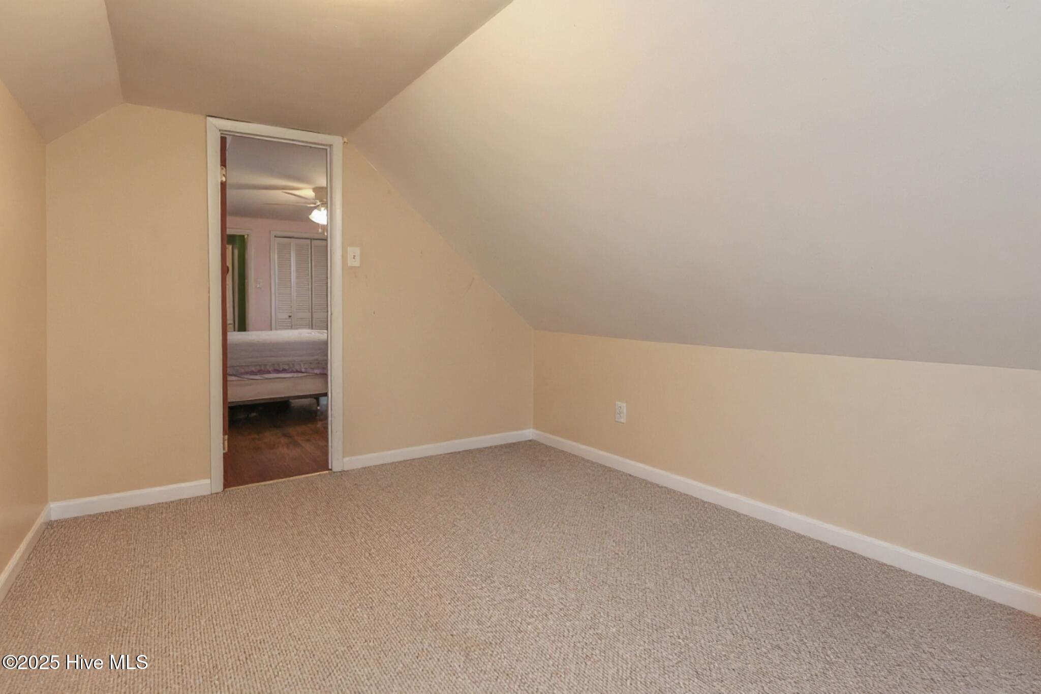 100524871 | Photo 44