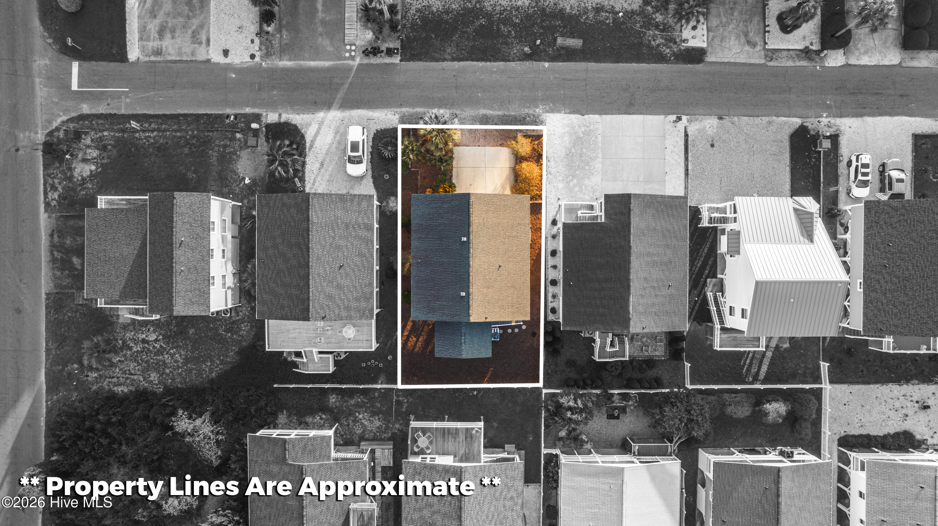 100563076 | Photo 41