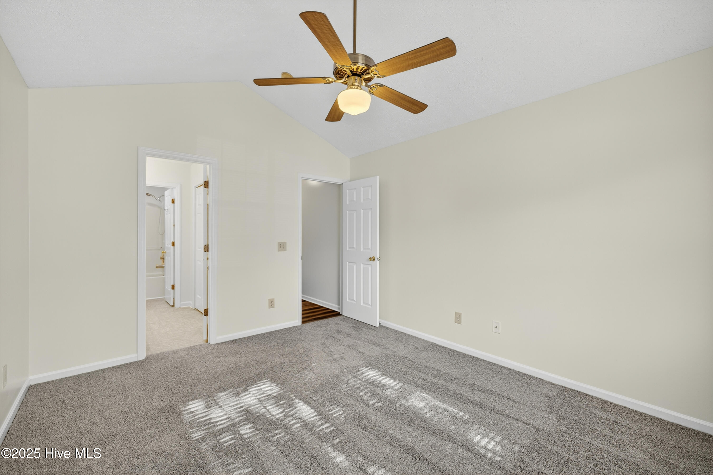 100541099 | Photo 24