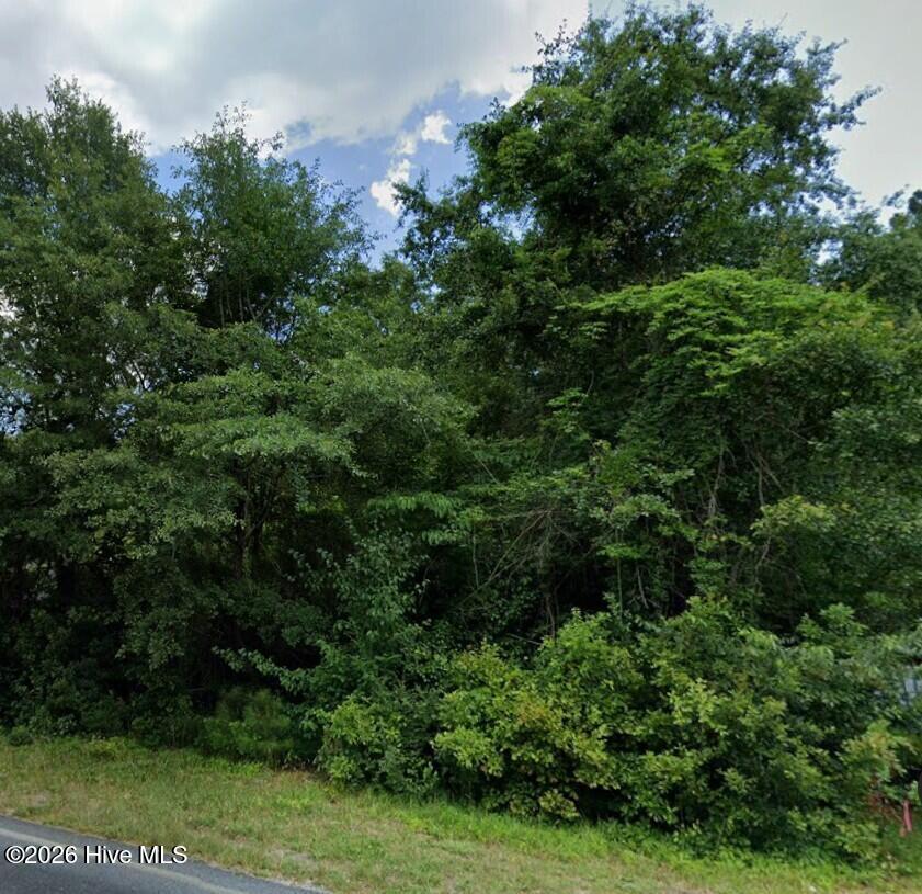 Google Maps Photo