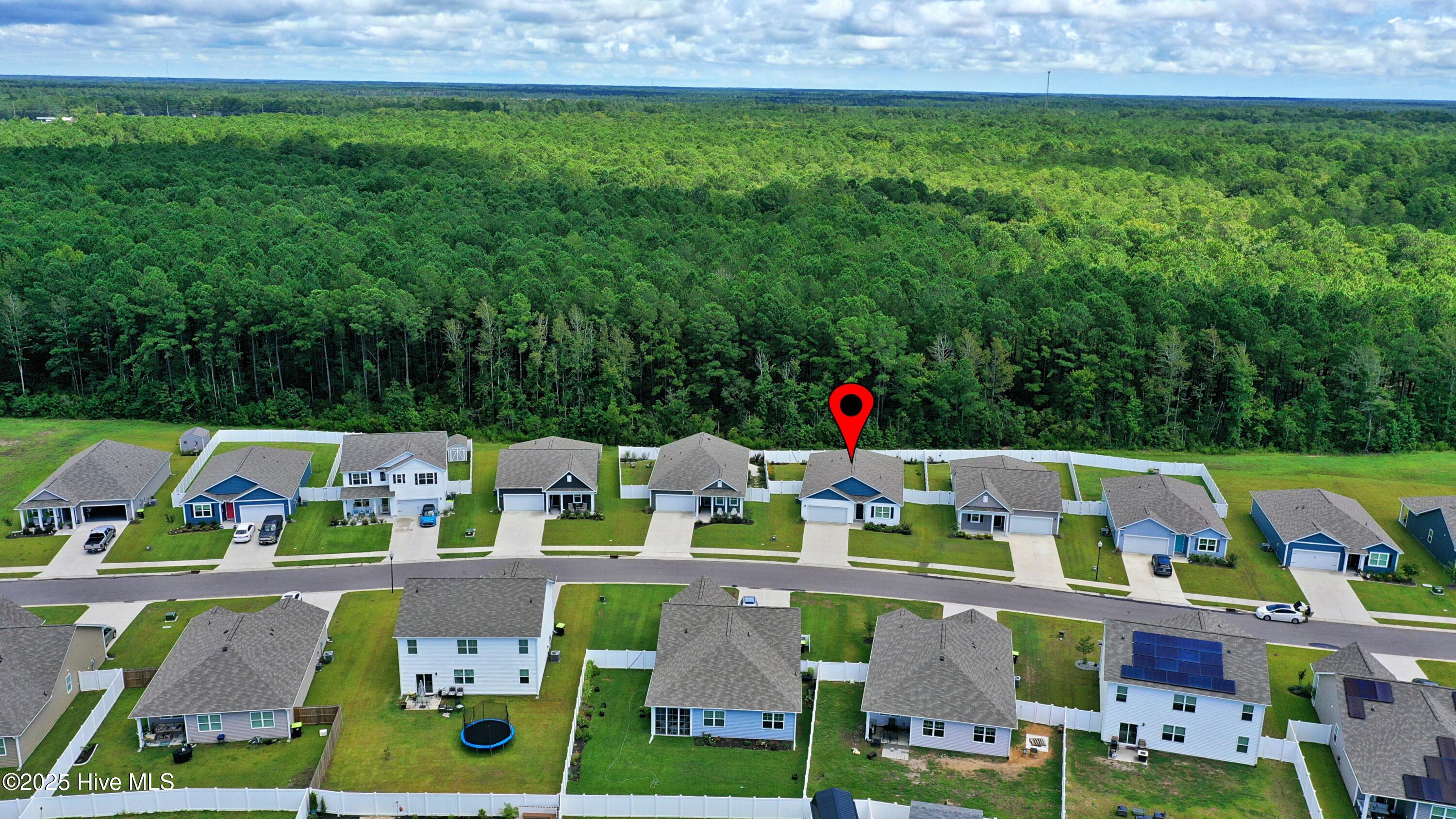 100523851 | Photo 23