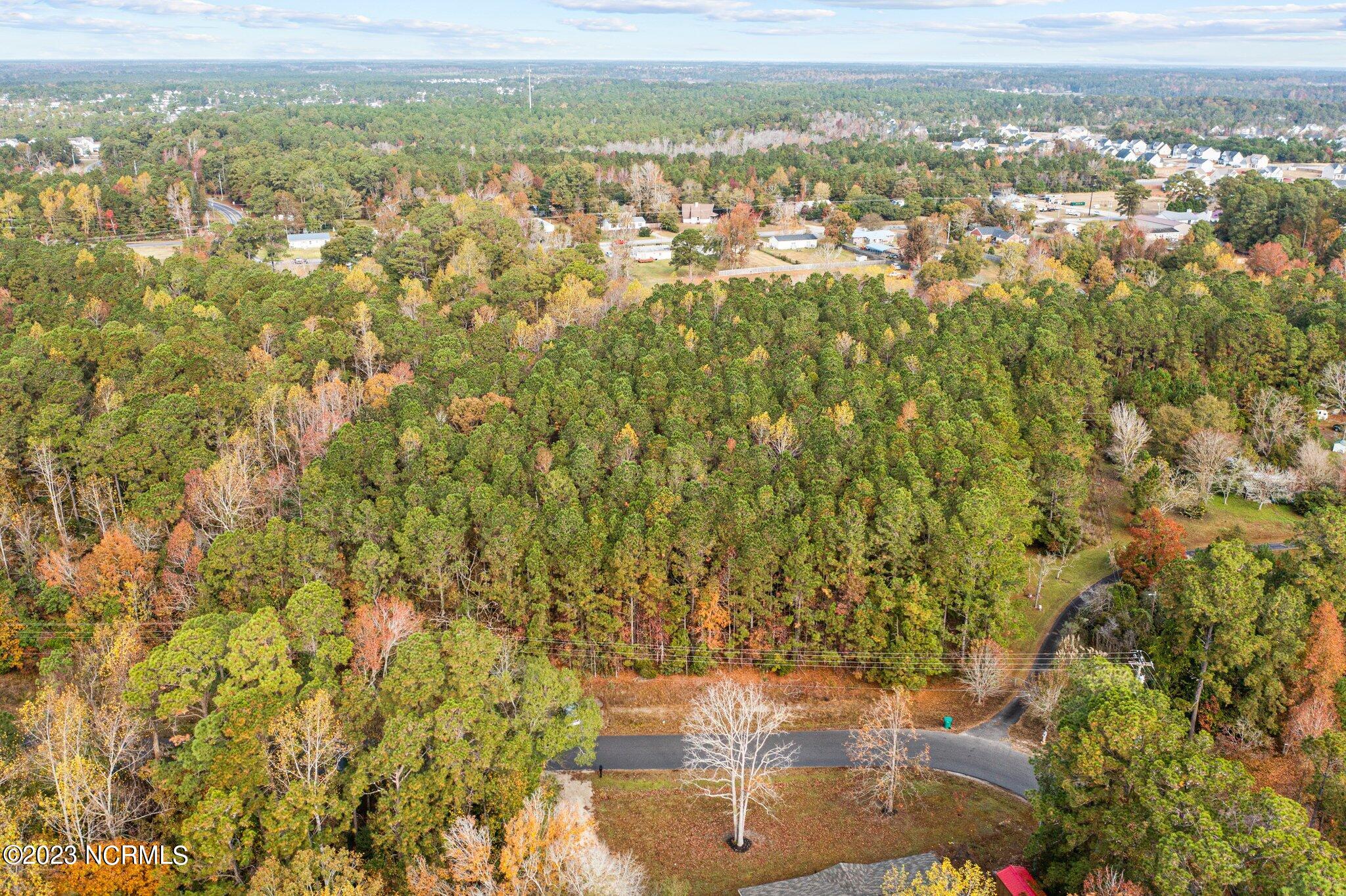 100415479 | Photo 20