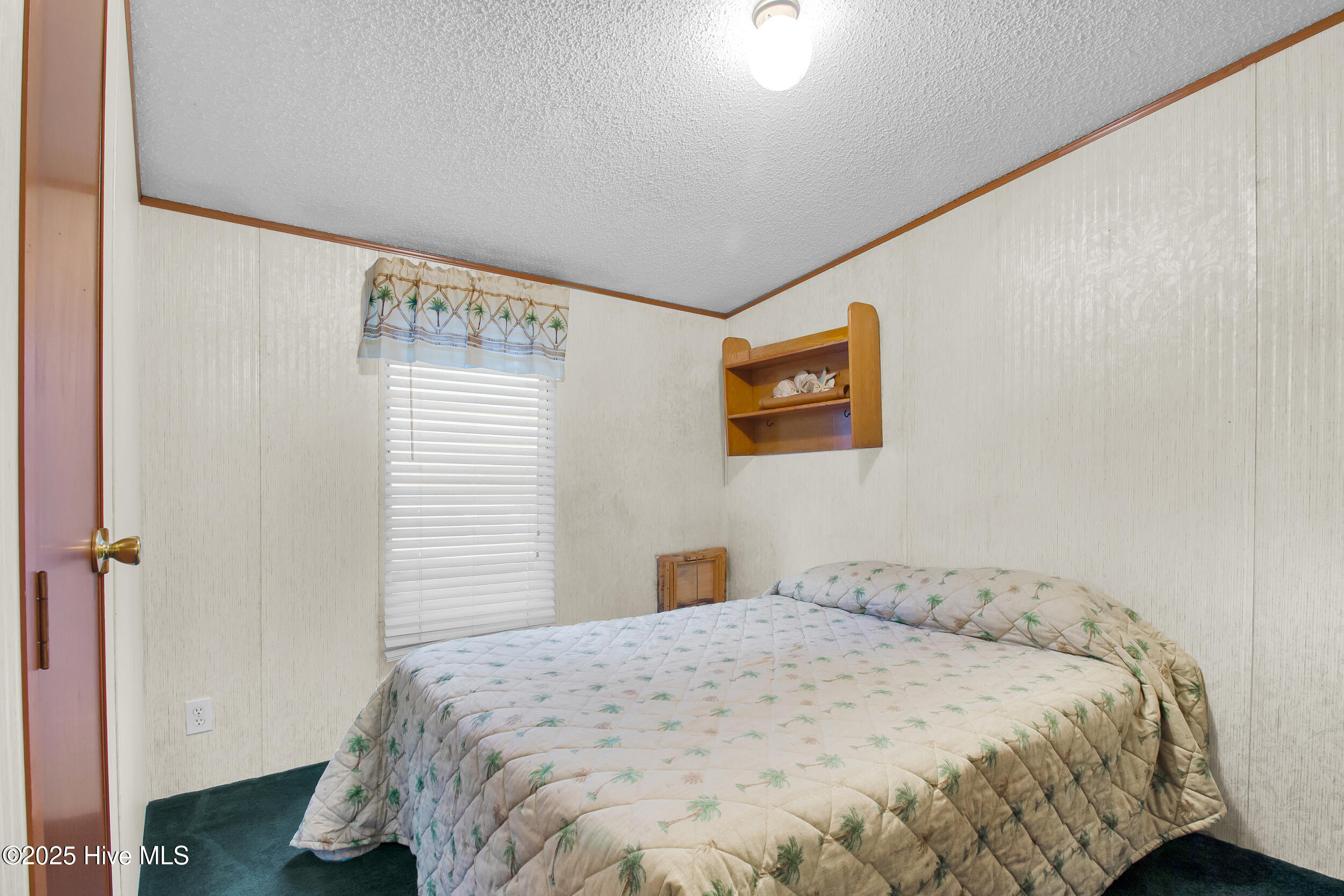 100535721 | Photo 16