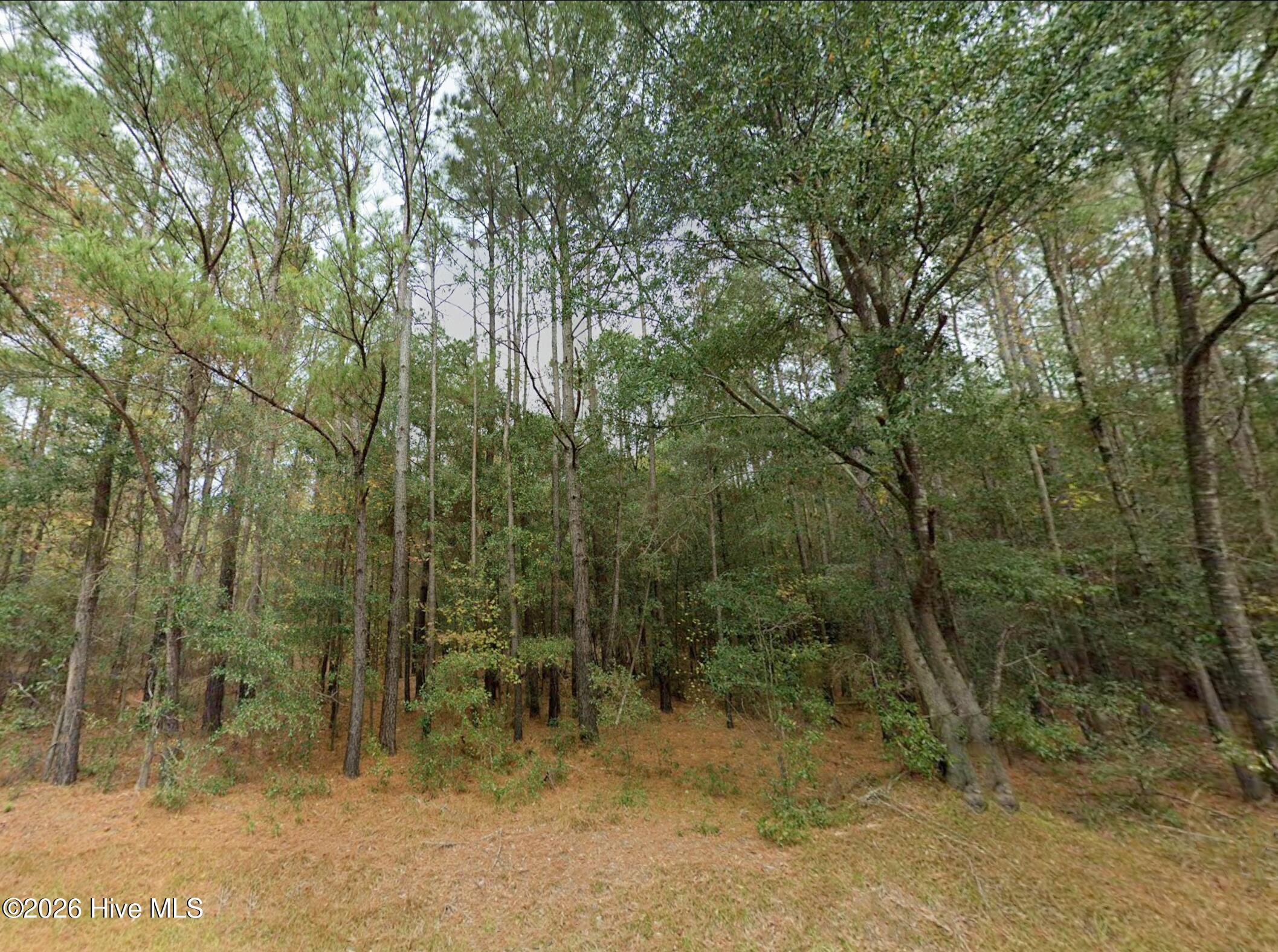 0 Shiloh Road image