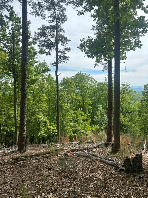 Exterior photo of Lot 4 Hampton Knob, Murphy, NC 28906. MLS: 98544110