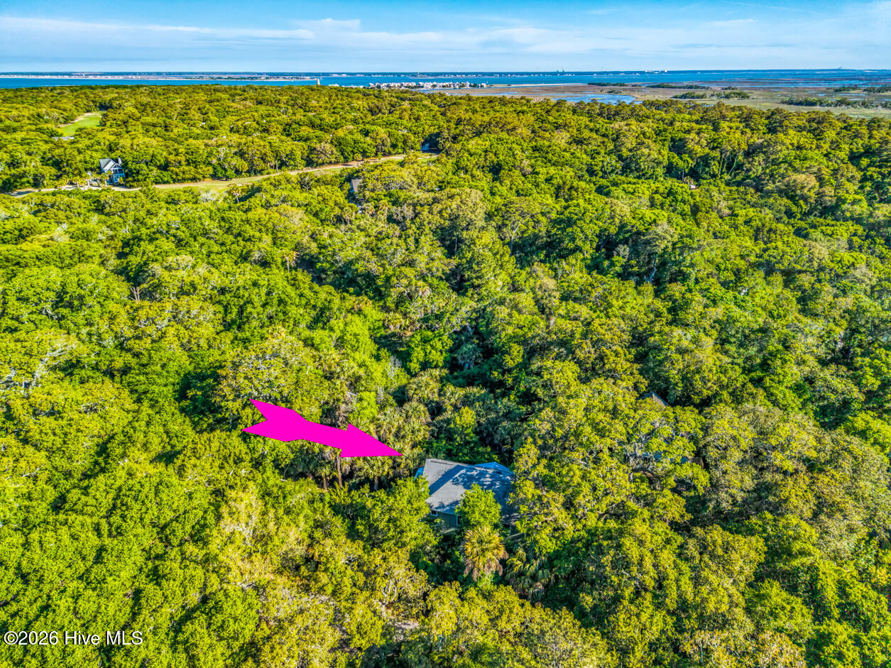 100570305 | Photo 40