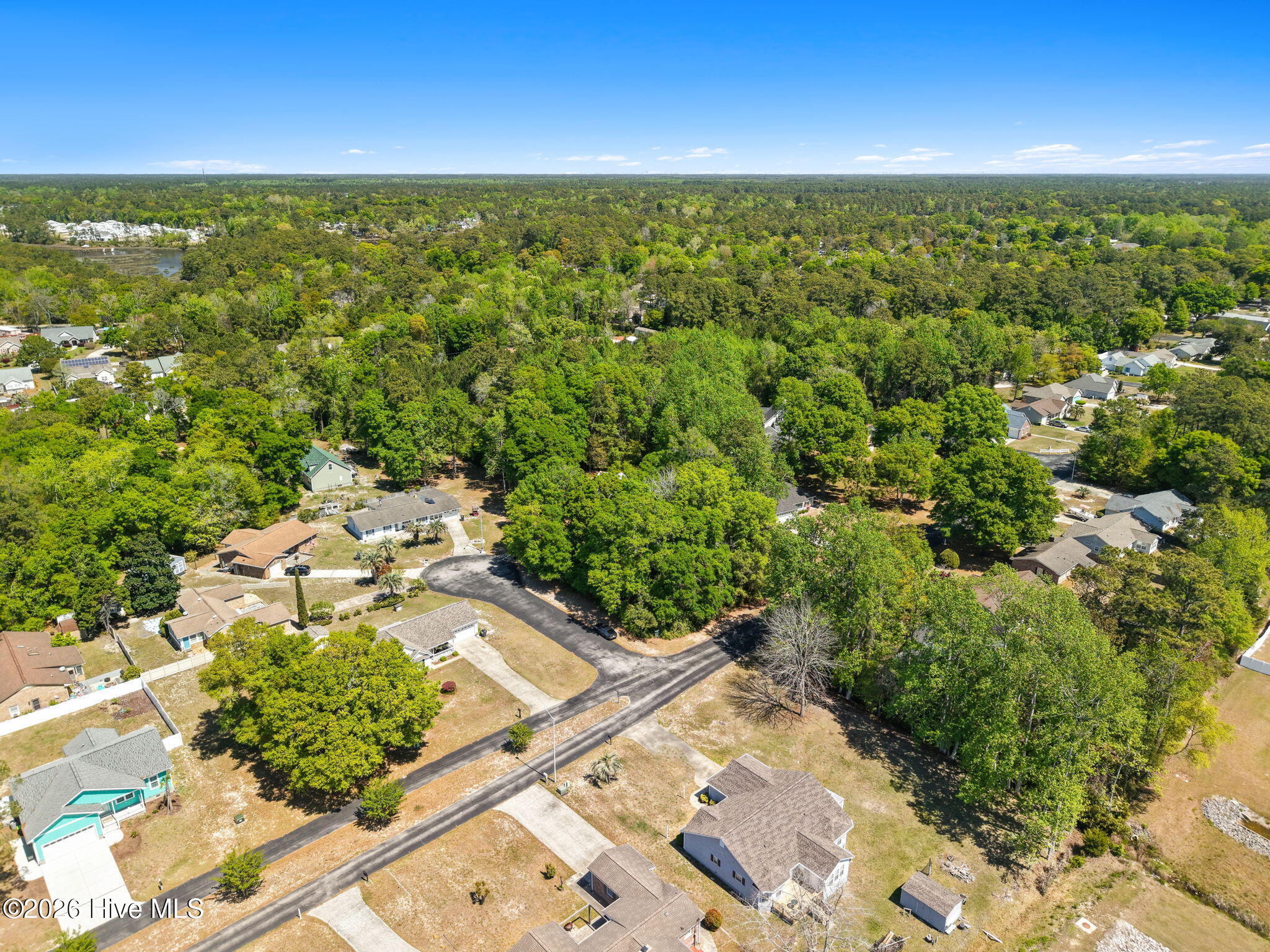 100566837 | Photo 14