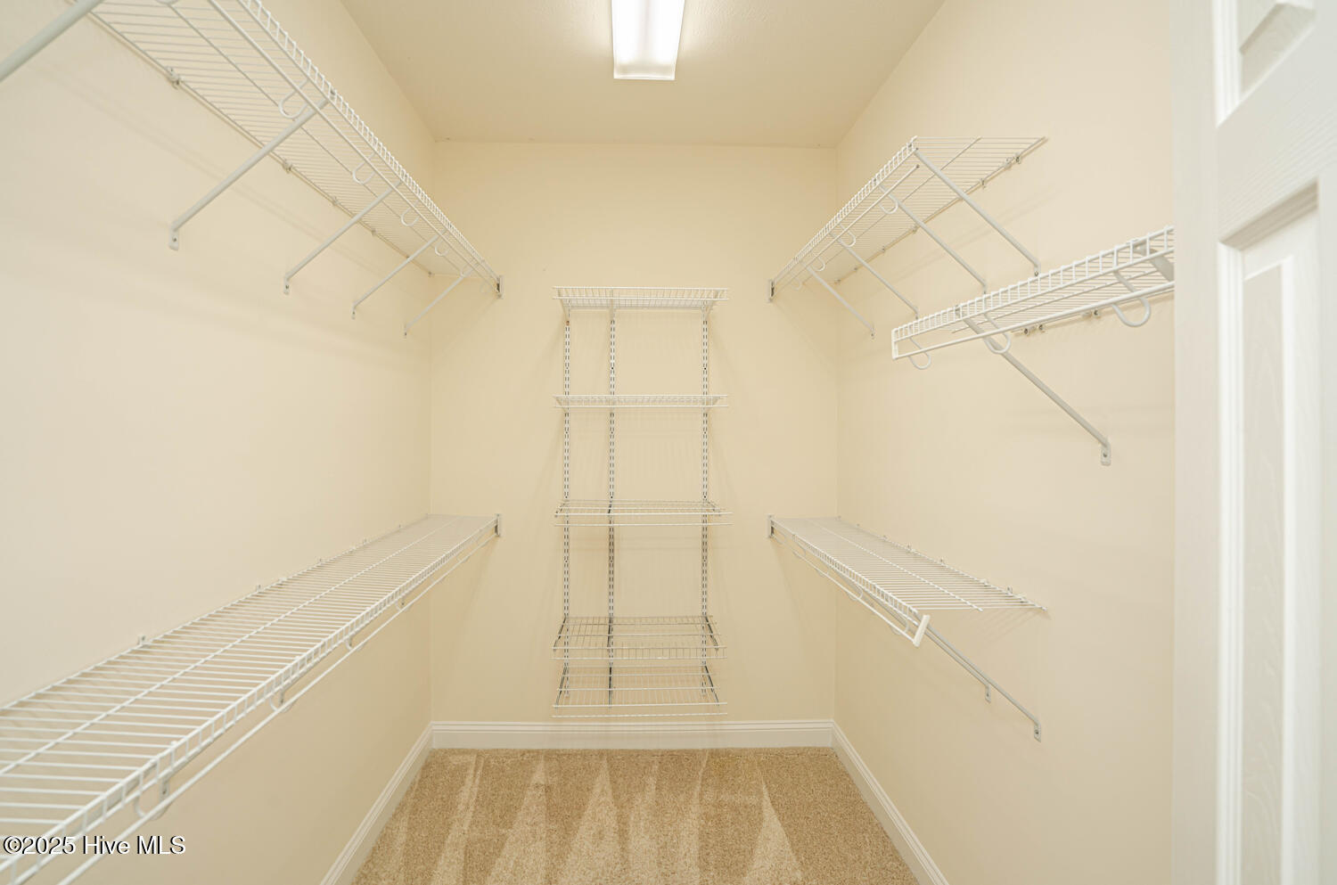 100538756 | Photo 26